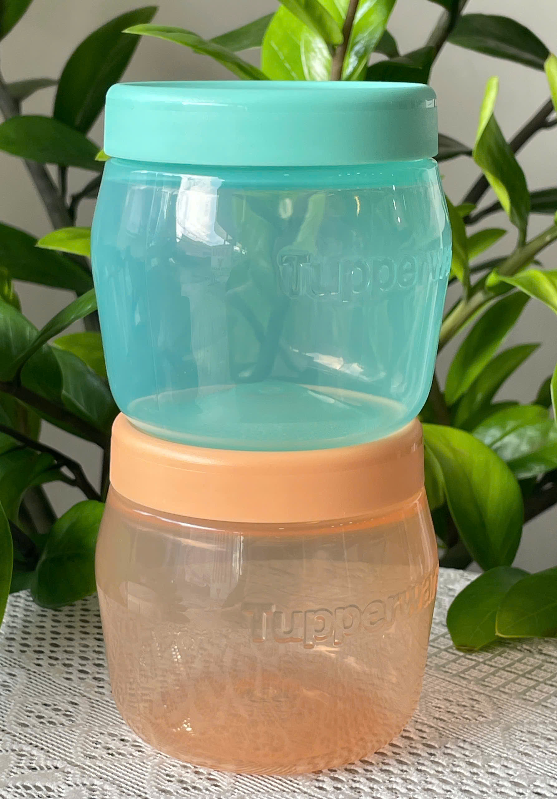 Combo Tuptrung 4 Hộp Bình Jar 325ml
