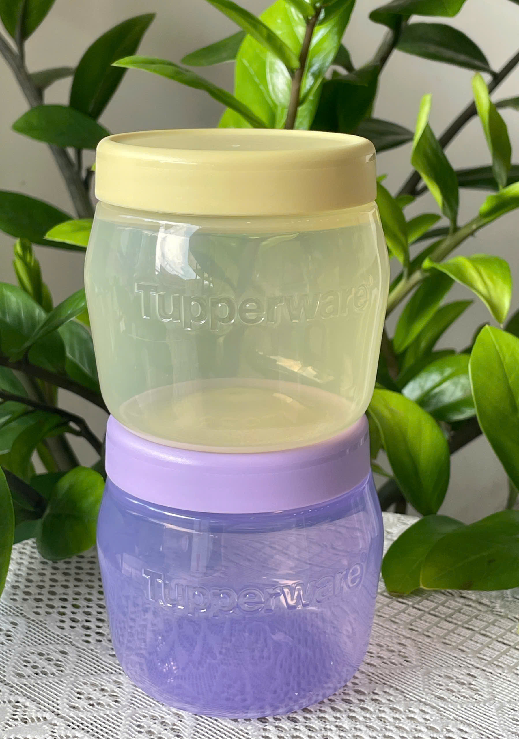 Combo Tuptrung 4 Hộp Bình Jar 325ml