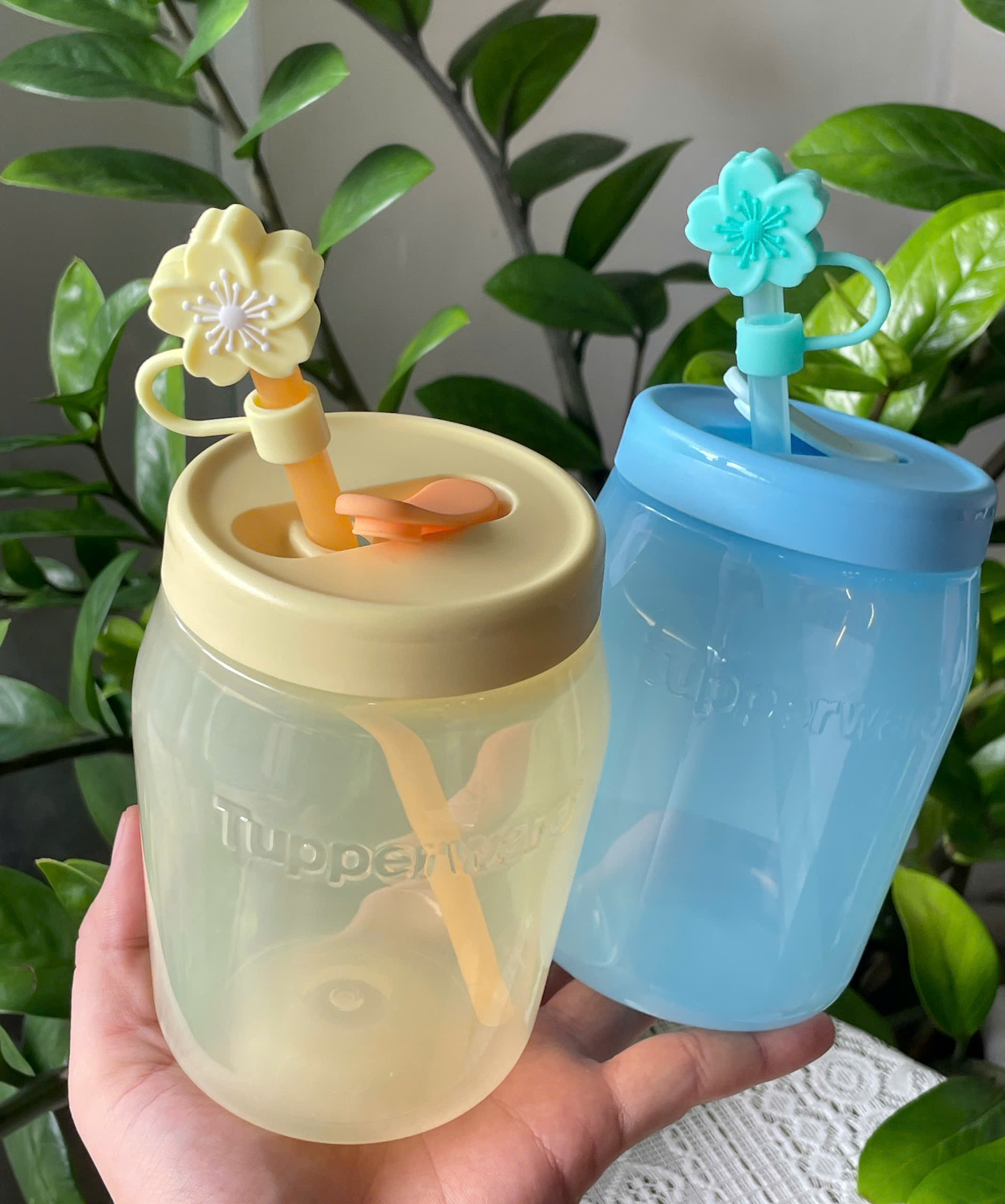 Hộp Jar 550ml có ống hút