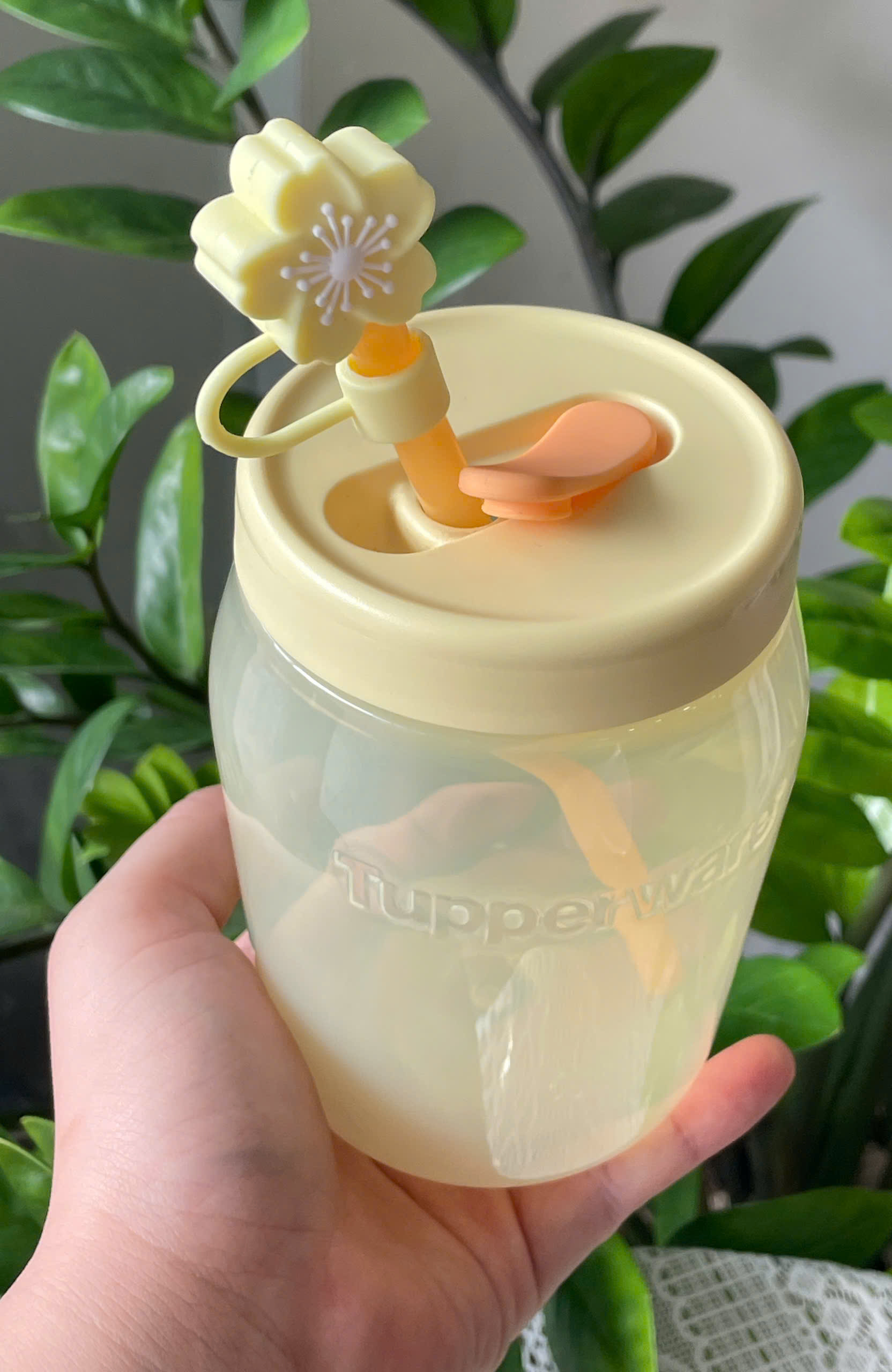 Hộp Jar 550ml có ống hút