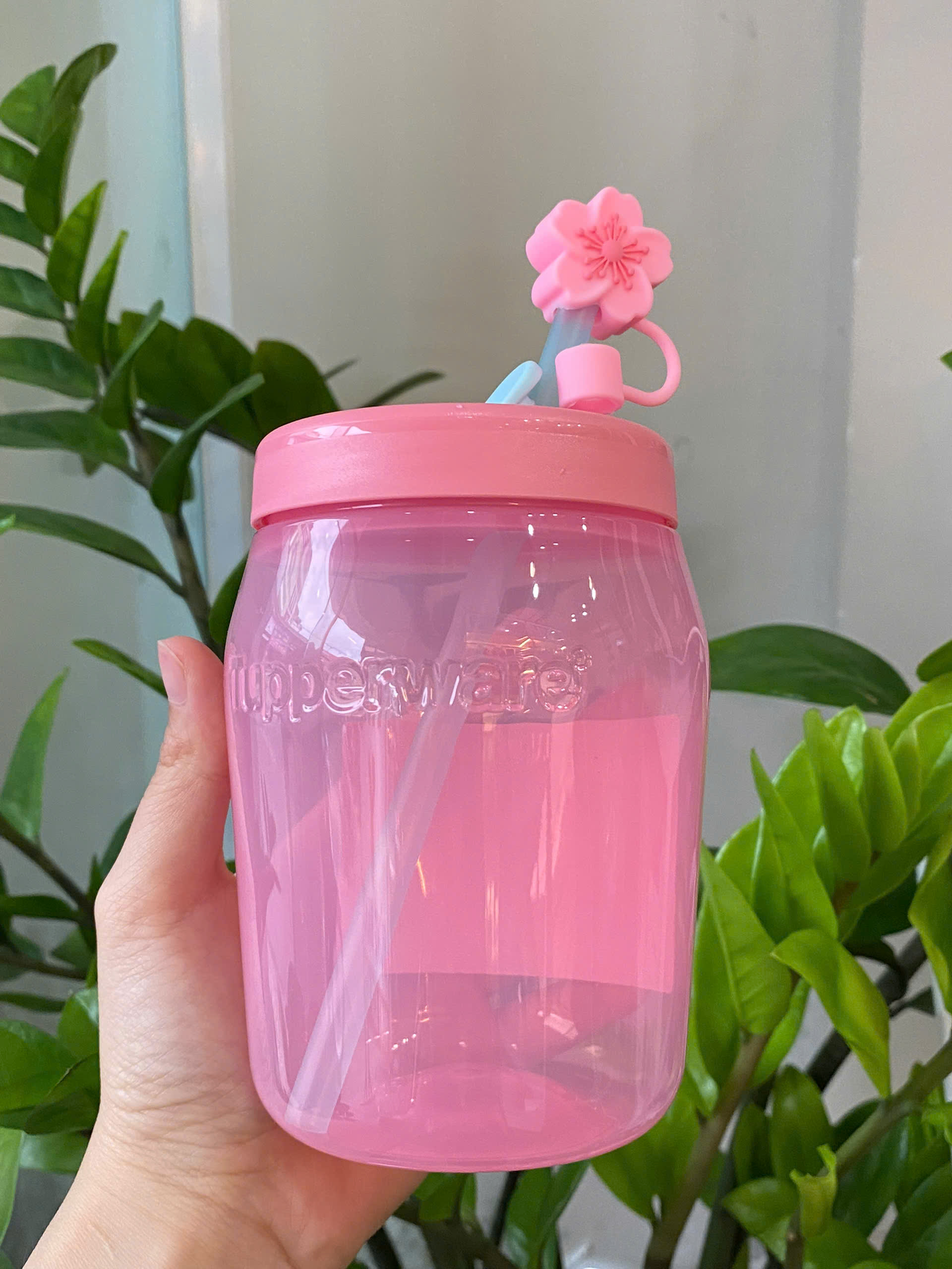 Hộp Jar 550ml có ống hút