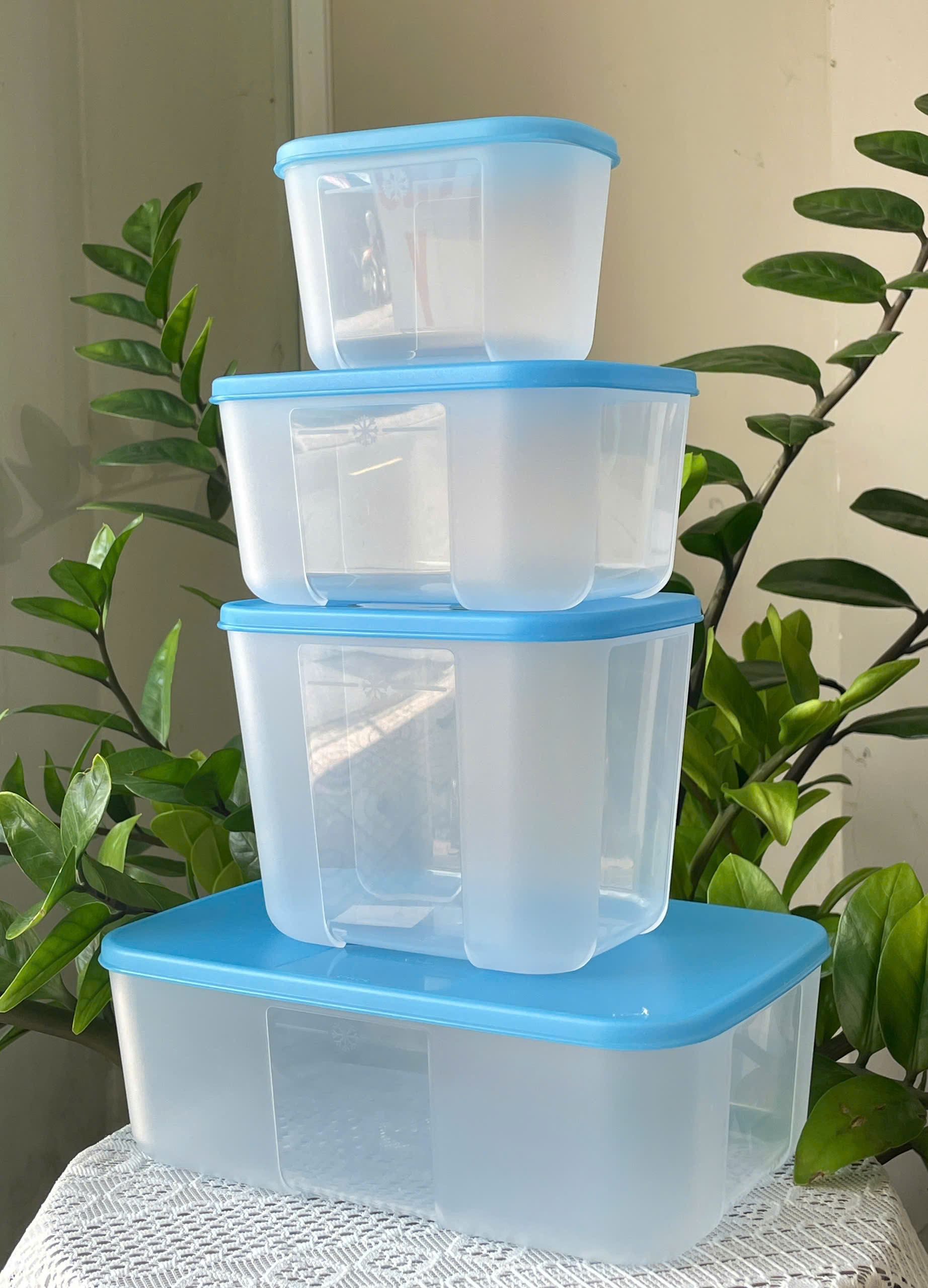 Combo Tuptrung Set 4 Hộp Đông Basic 650ml Nắp Xanh (4 Hộp)