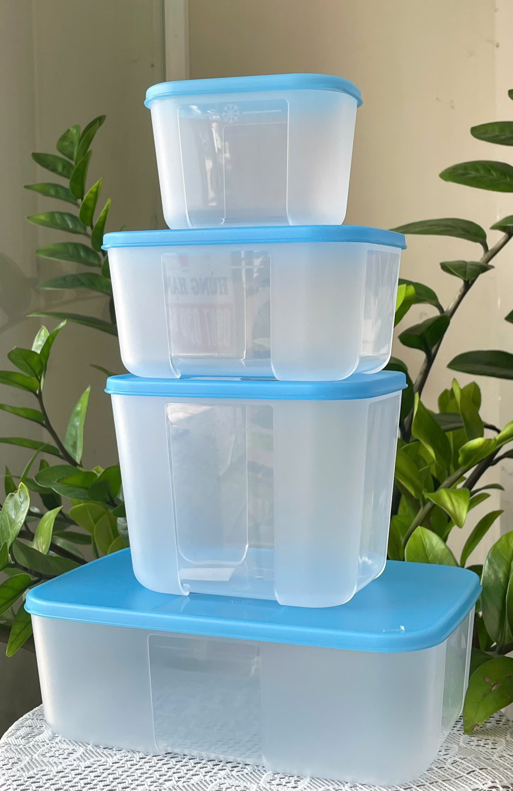 Combo Tuptrung Set 4 Hộp Đông Basic 650ml Nắp Xanh (4 Hộp)