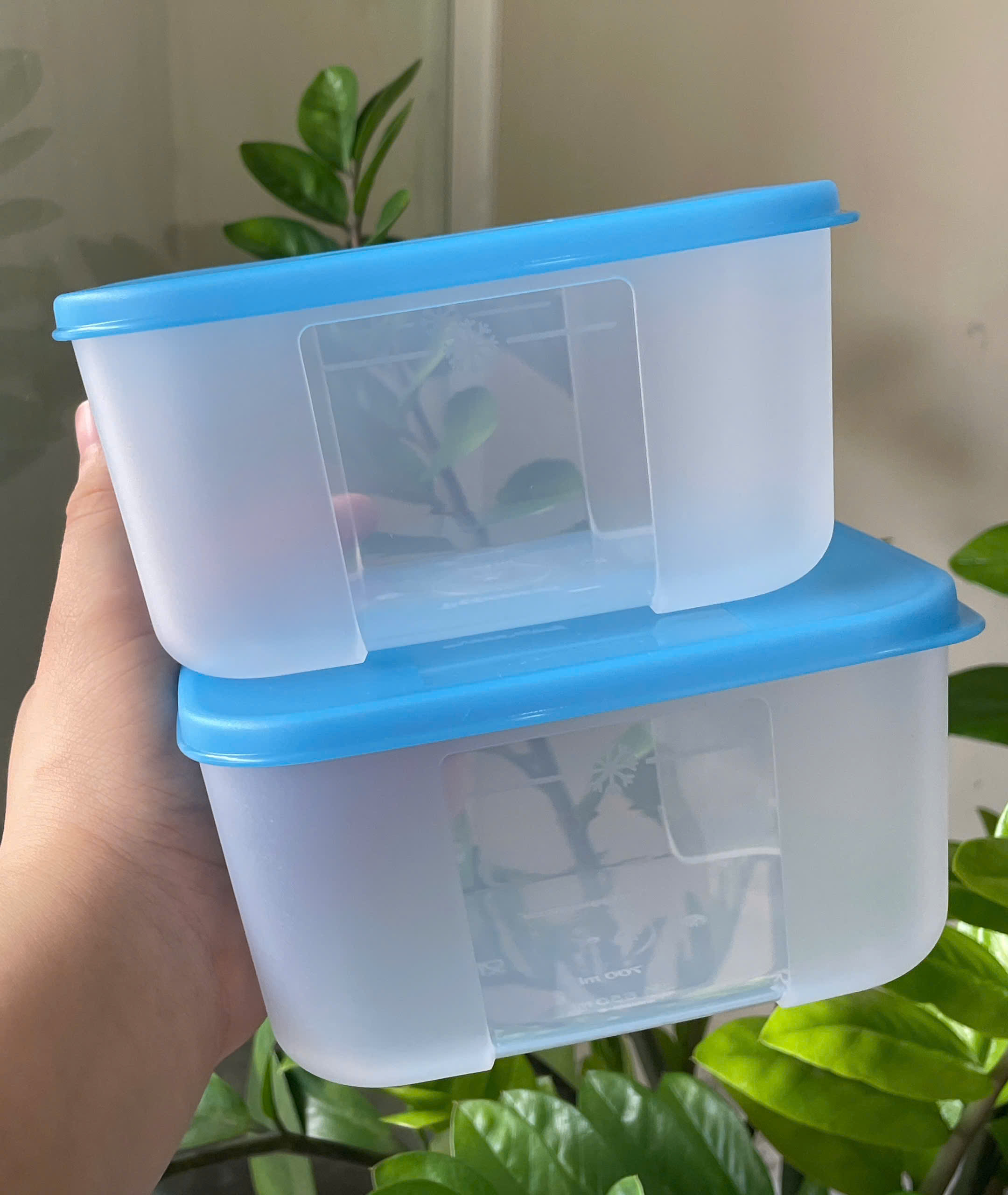 Combo Tuptrung Set 4 Hộp Đông Basic 650ml Nắp Xanh (4 Hộp)