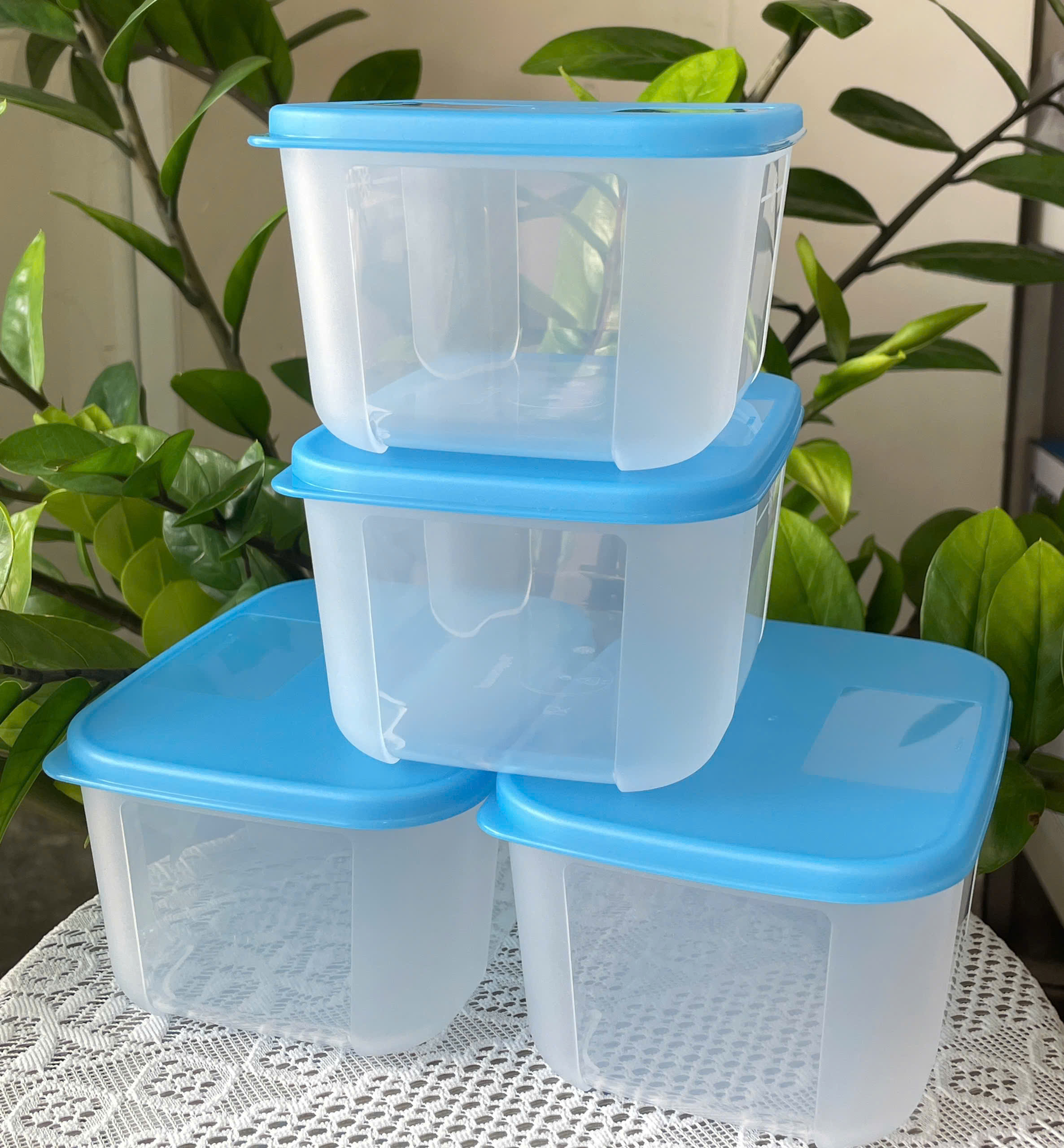 Combo Tuptrung Set 4 Hộp Đông Basic 650ml Nắp Xanh (4 Hộp)
