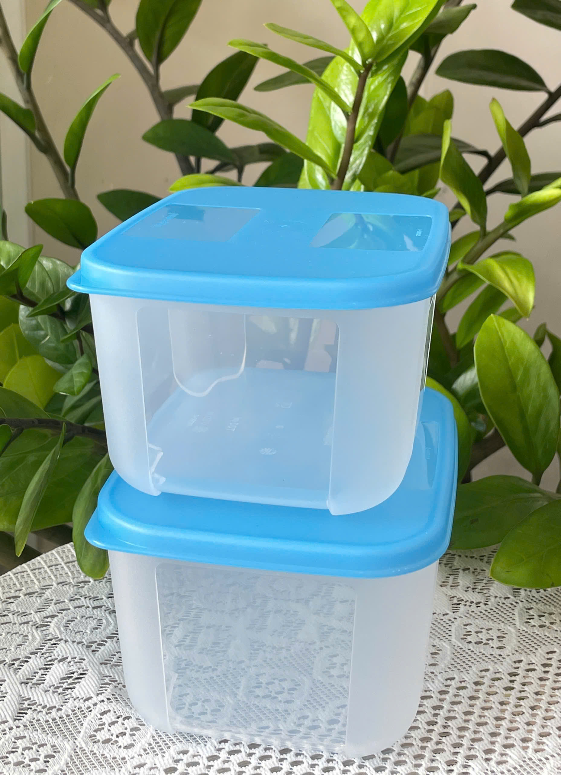 Combo Tuptrung Set 4 Hộp Đông Basic 650ml Nắp Xanh (4 Hộp)