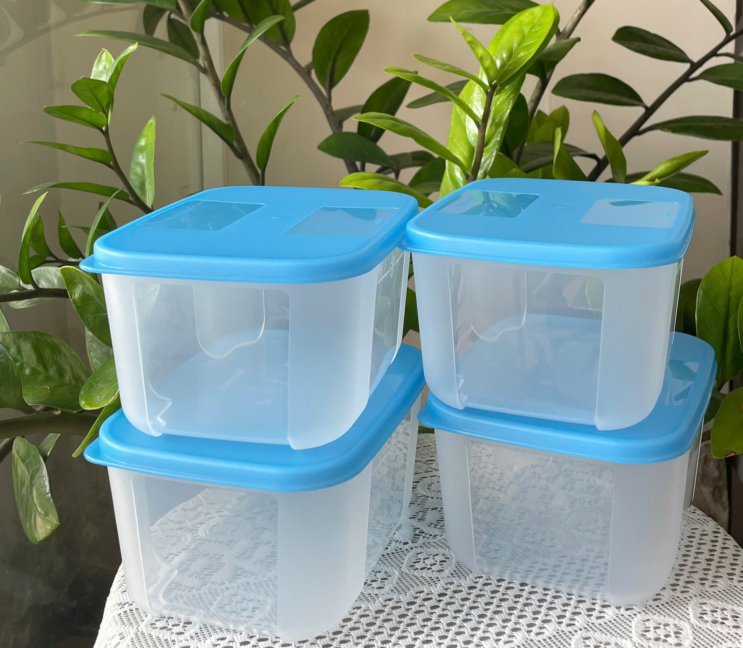 Combo Tuptrung Set 4 Hộp Đông Basic 650ml Nắp Xanh (4 Hộp)