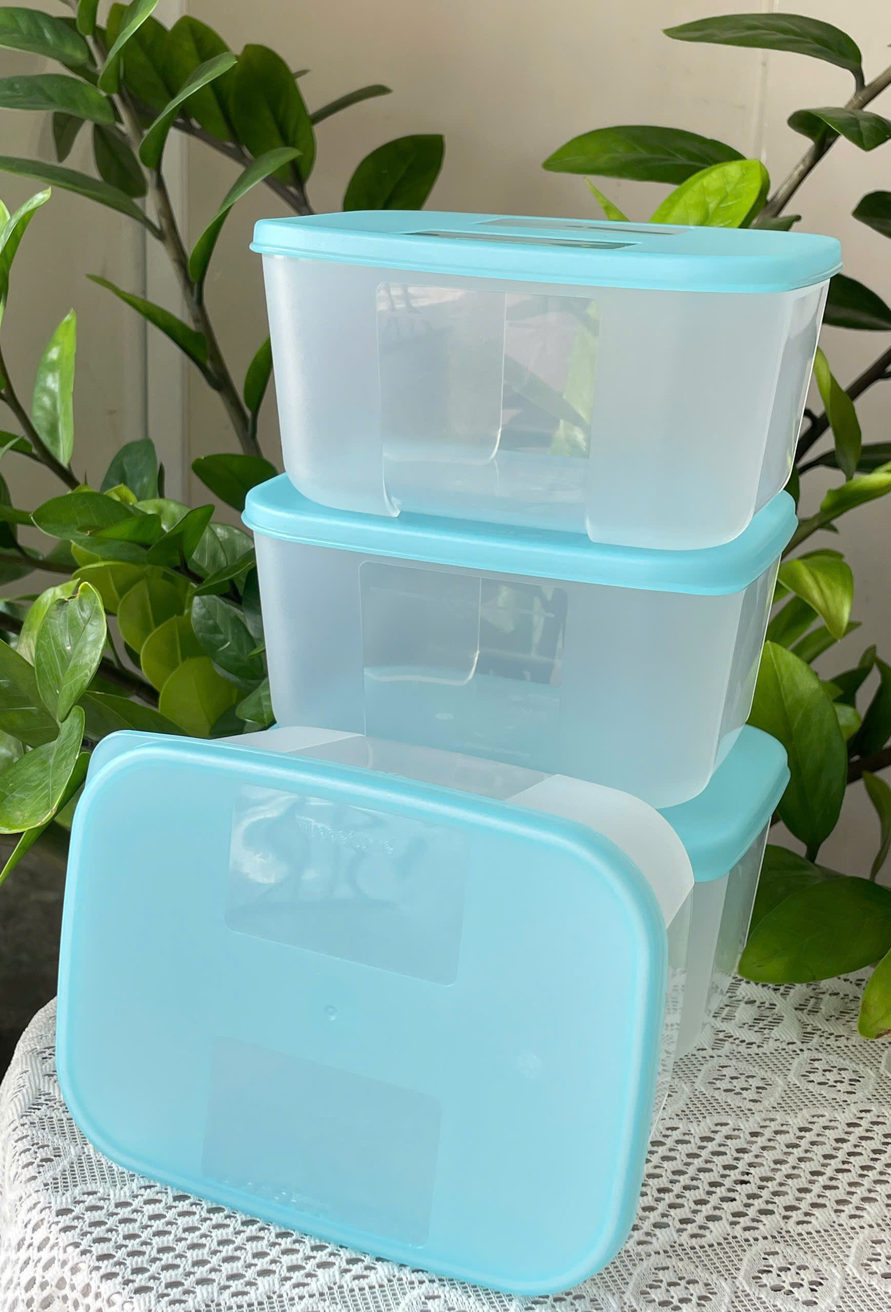Combo Tuptrung Set 6 Hộp Đông Basic 650ml Nắp Xanh (6 Hộp)