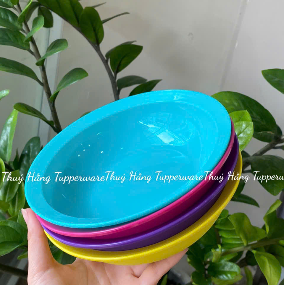Set 4 đĩa Sâu Lòng Everyday Plate Set 4 Tupperware 4 Màu 17.5cm