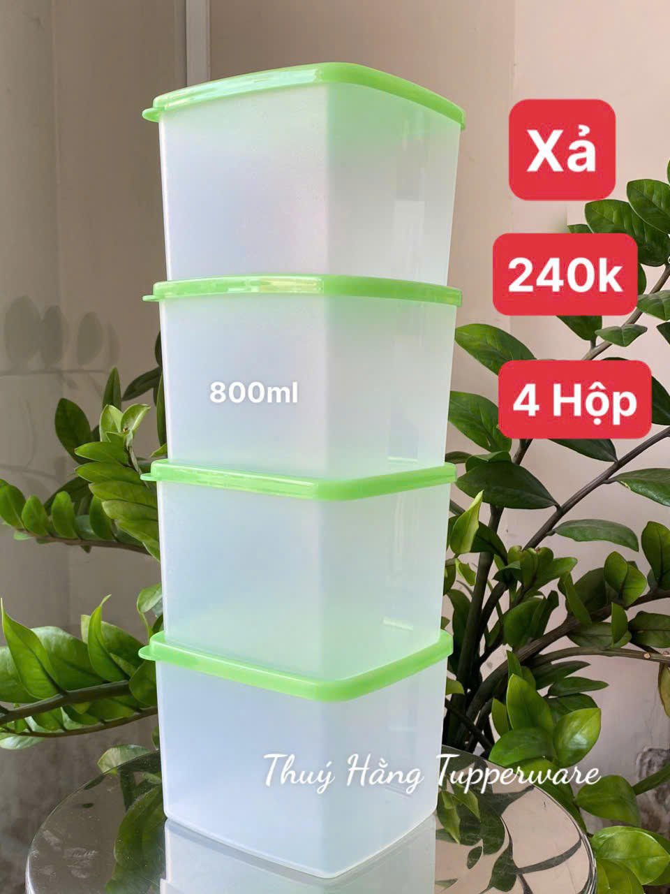 Set Mát Tupperware Thân Trong 840ml (4)