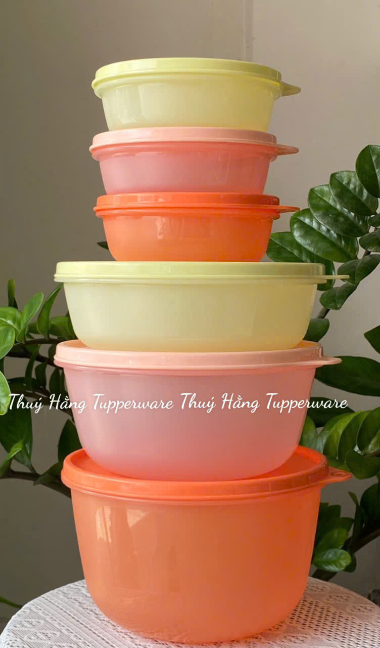 Set Mát Tupperware Tròn 6 Hộp ( 2L, 1.5L,1L, 300l)