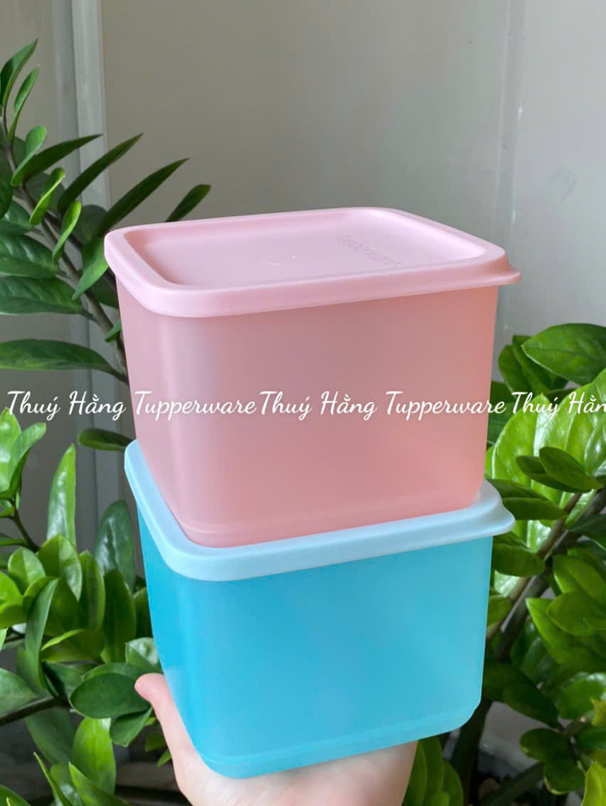 Bộ Hộp BQTP Medium Squar Round 1L (4 hộp)