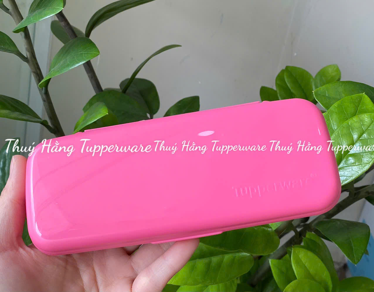 Bộ Muỗng Nĩa Tupperware Portable Chopstick Tropical