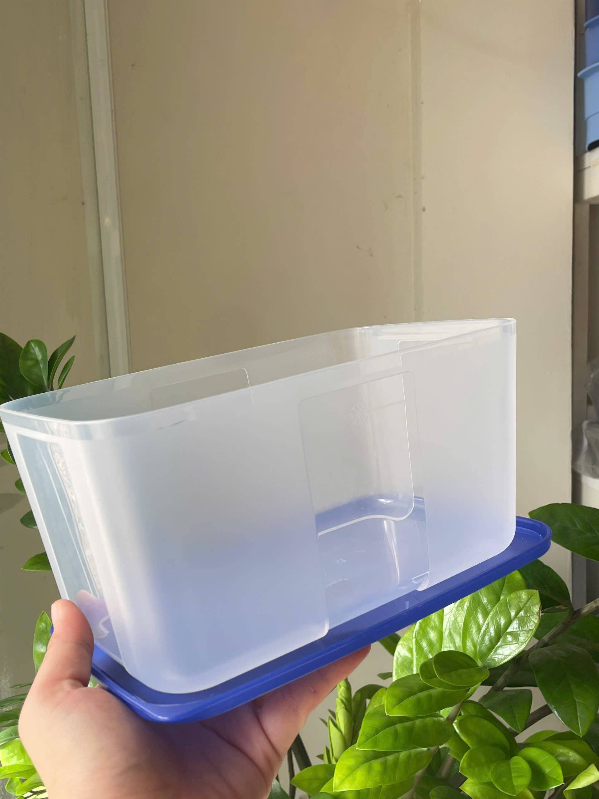 Tupmaly - Hộp đông 2.6L
