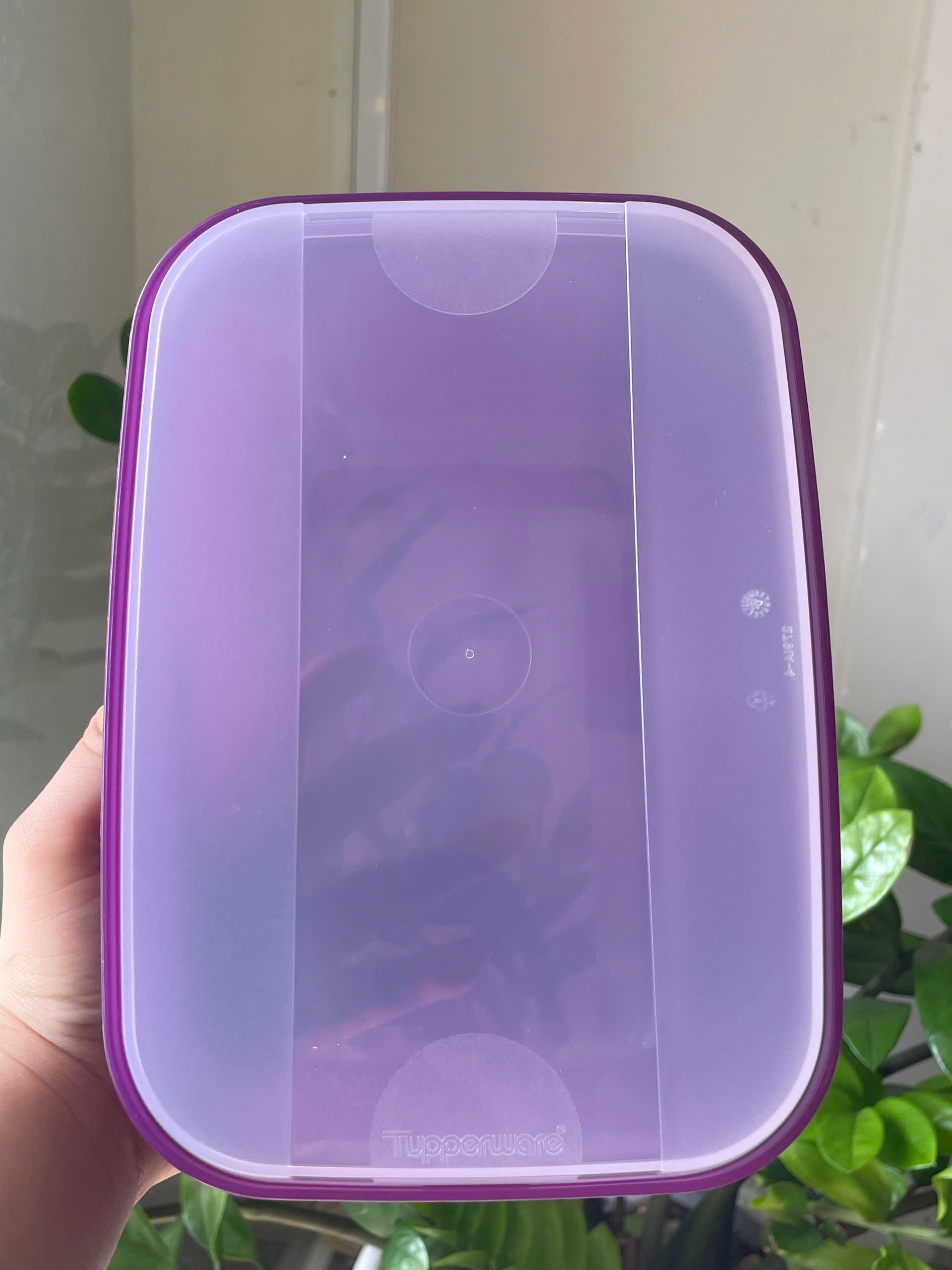 Tupmalay - Hộp mát 2.2L