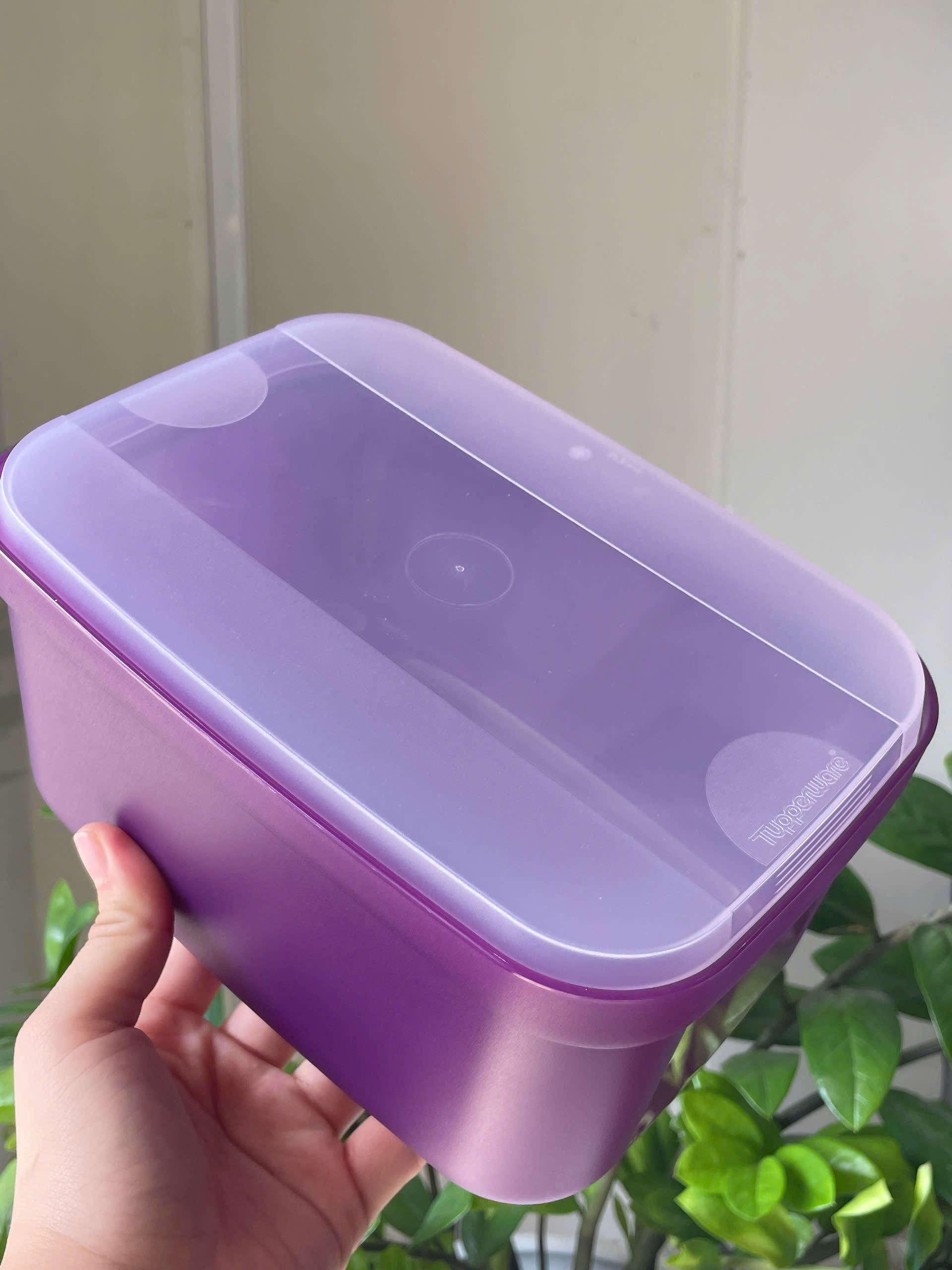 Tupmalay - Hộp mát 2.2L