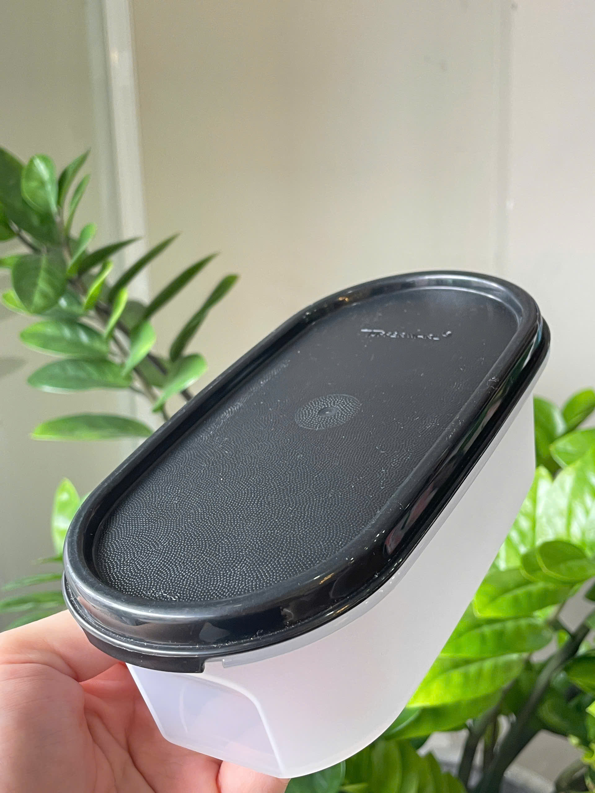 Bộ Hộp Tupperware Kệ Bếp Modular Kitchen Mates Starter (4 hộp)