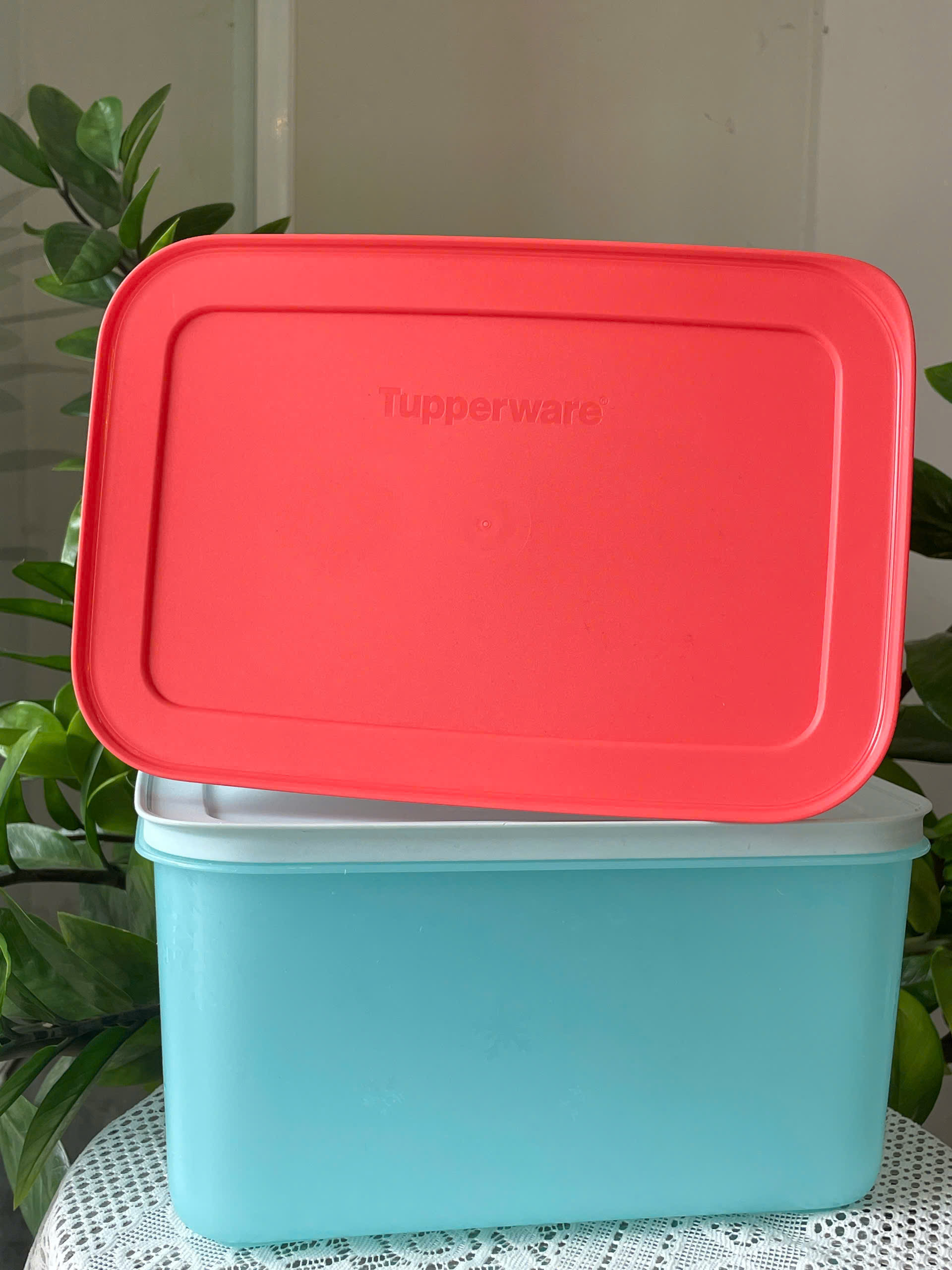 Tuptrung - Hộp đông dẻo 2.5L - nắp đỏ