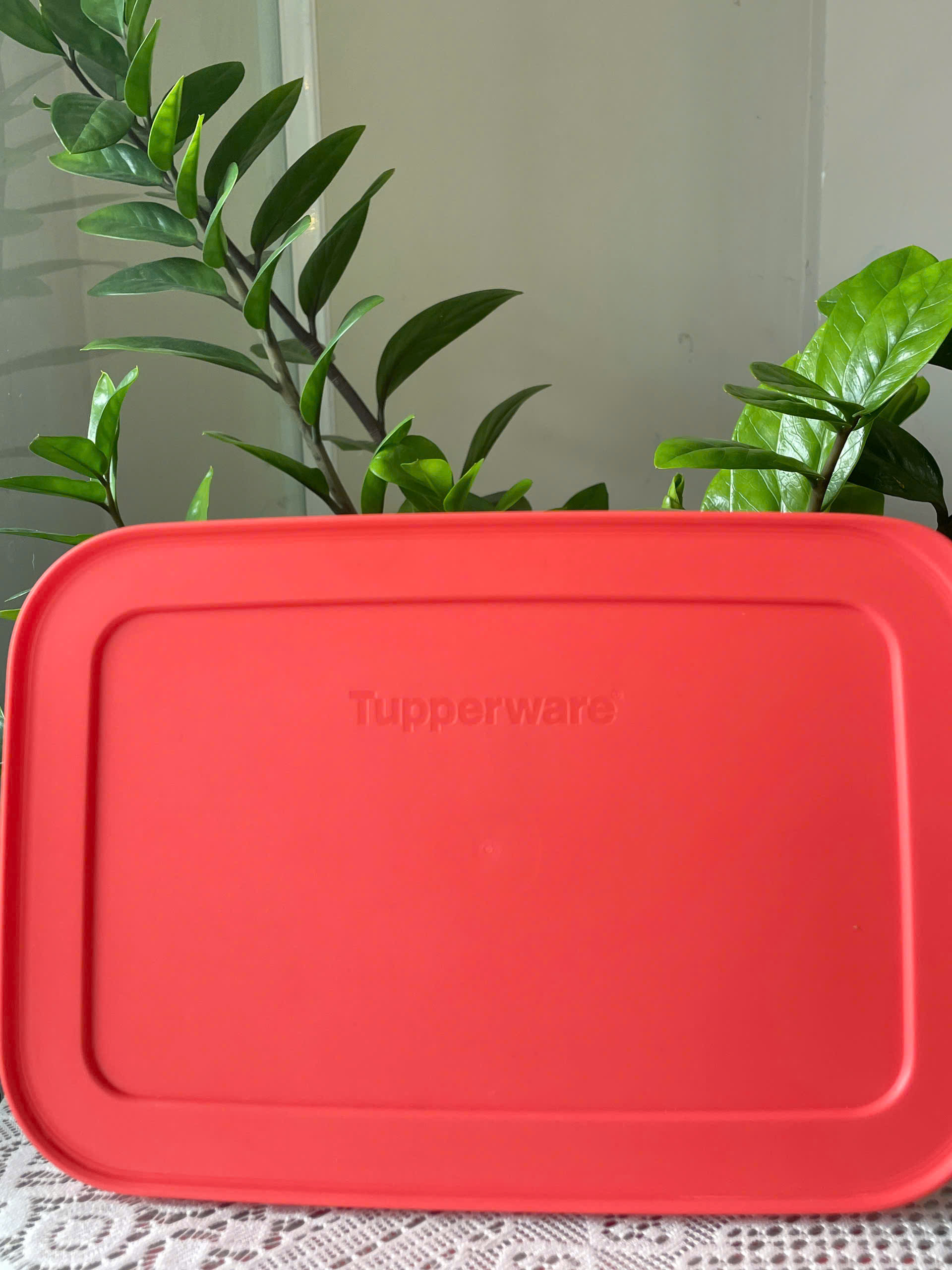 Hộp Tupperware Đông dẻo 1 lít - nắp cam đậm mớip