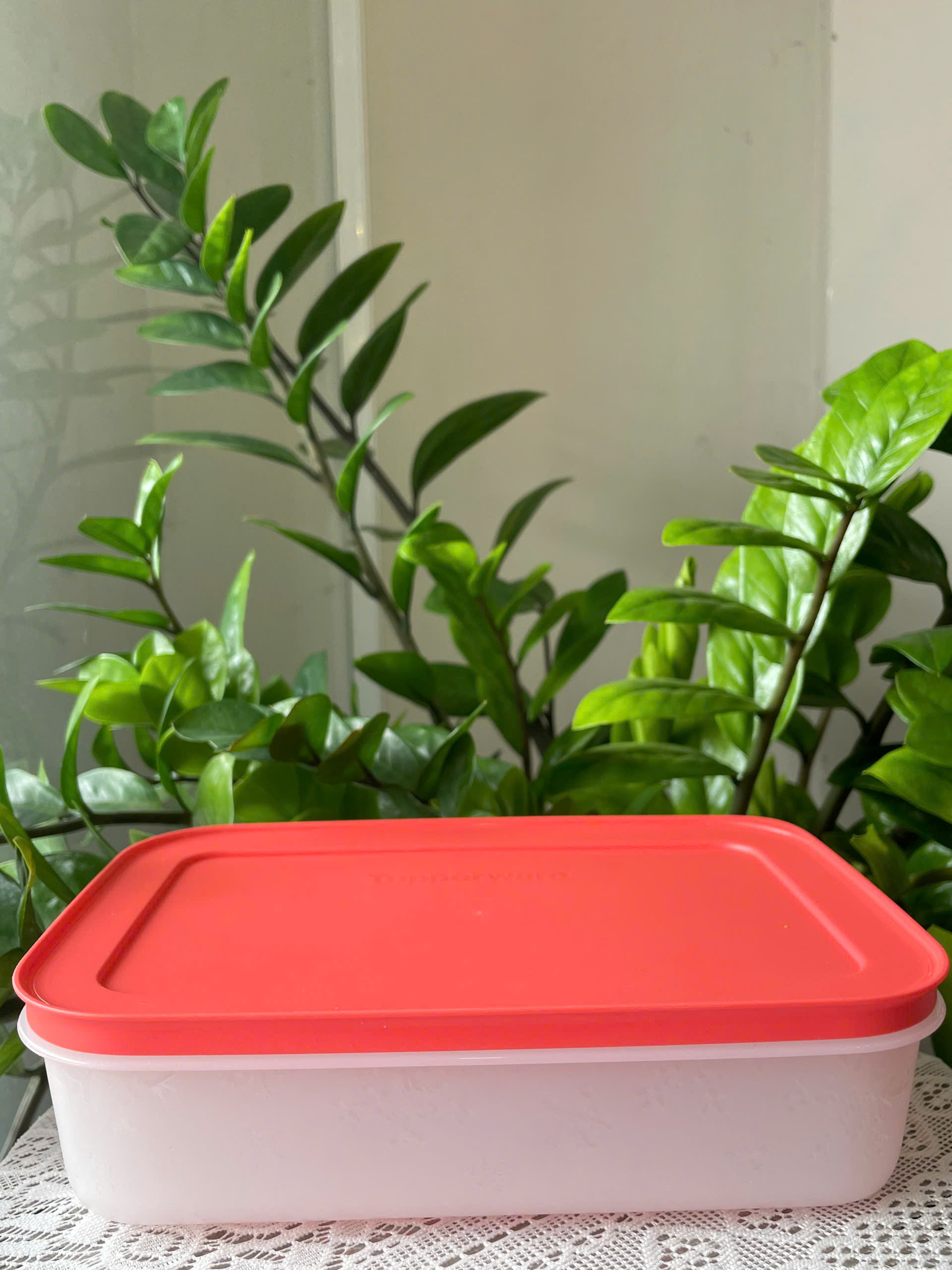 Hộp Tupperware Đông dẻo 1 lít - nắp cam đậm mớip