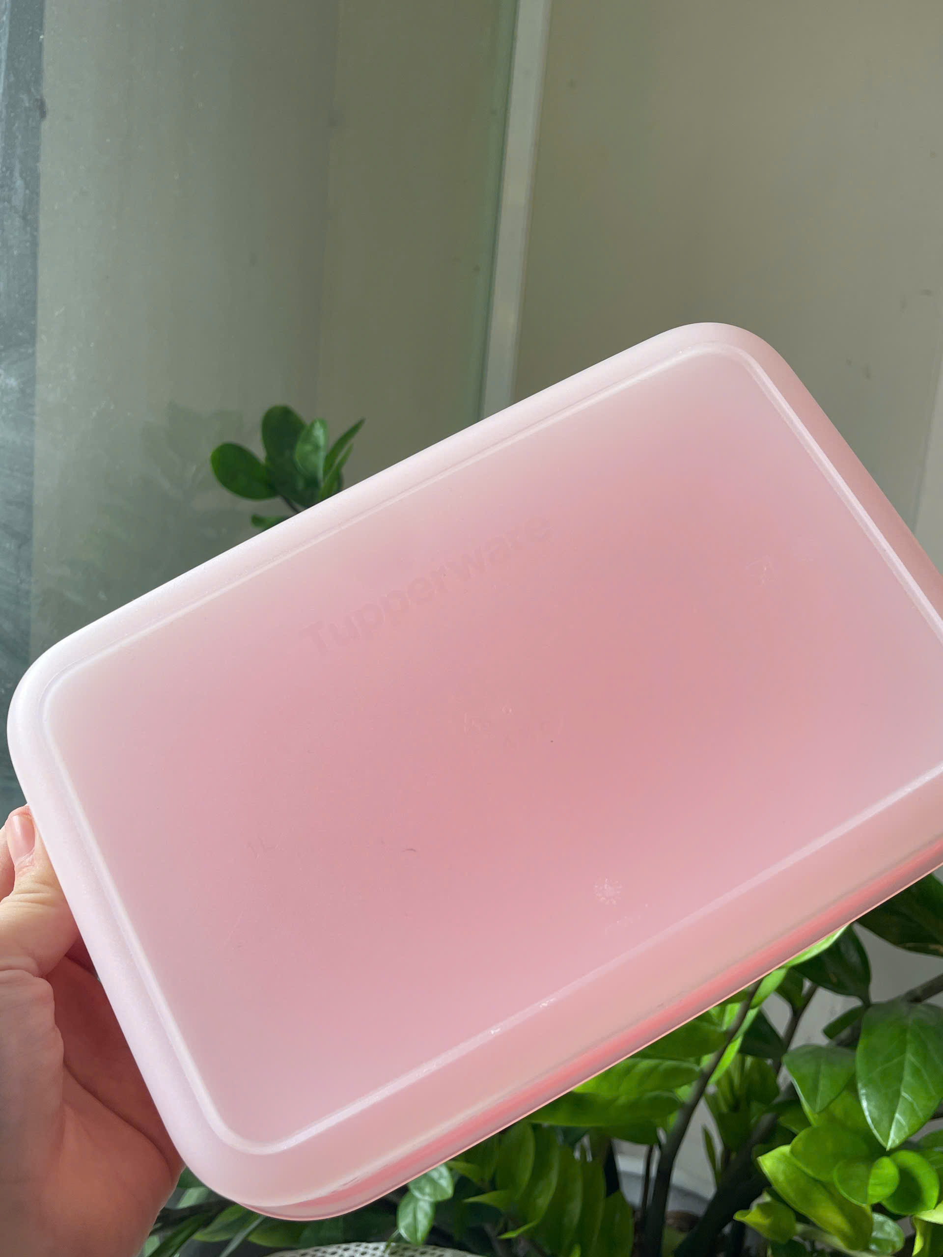 Hộp Tupperware Đông dẻo 1 lít - nắp cam đậm mớip