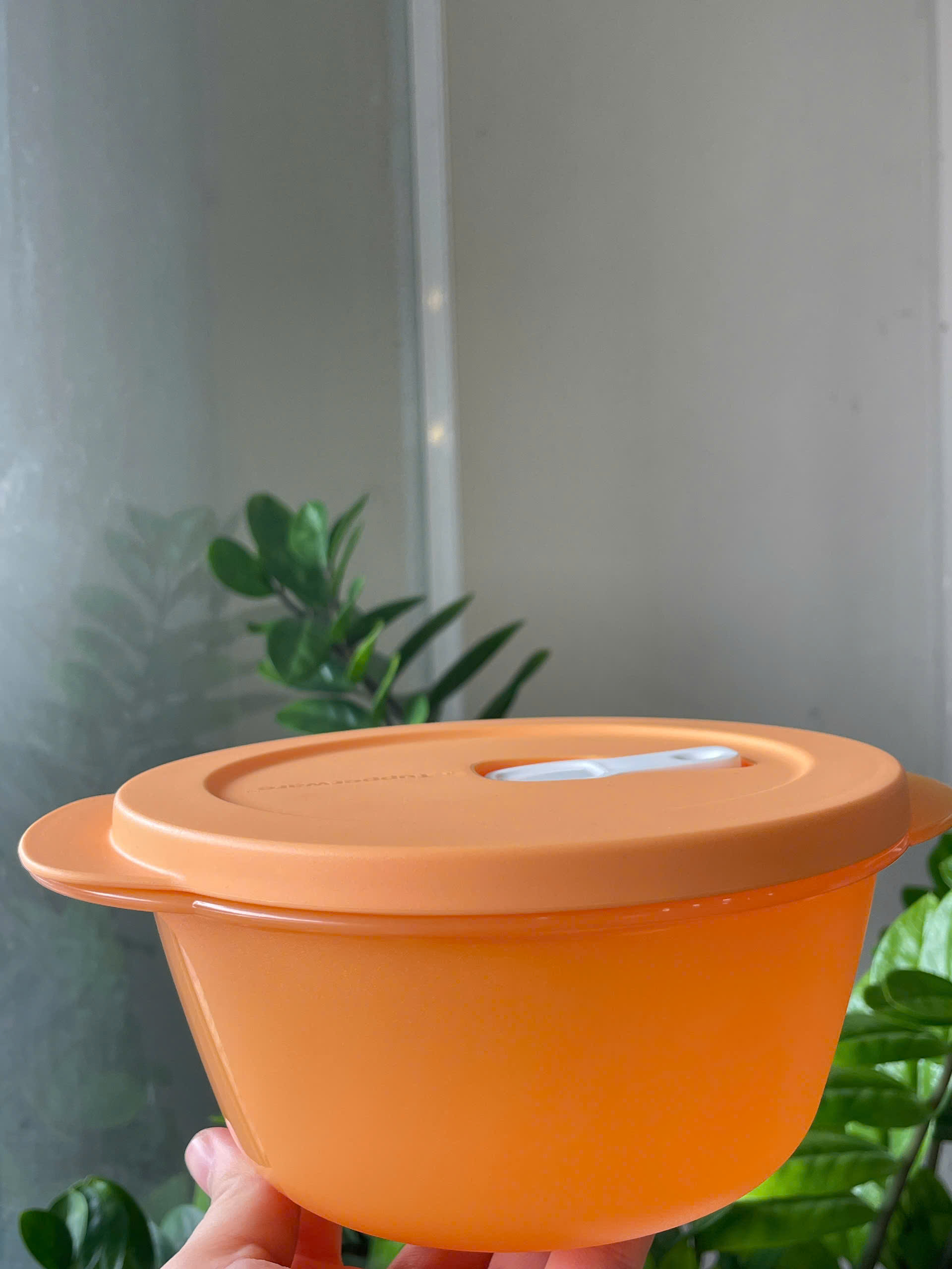 Hộp LVS 800ml Tupperware