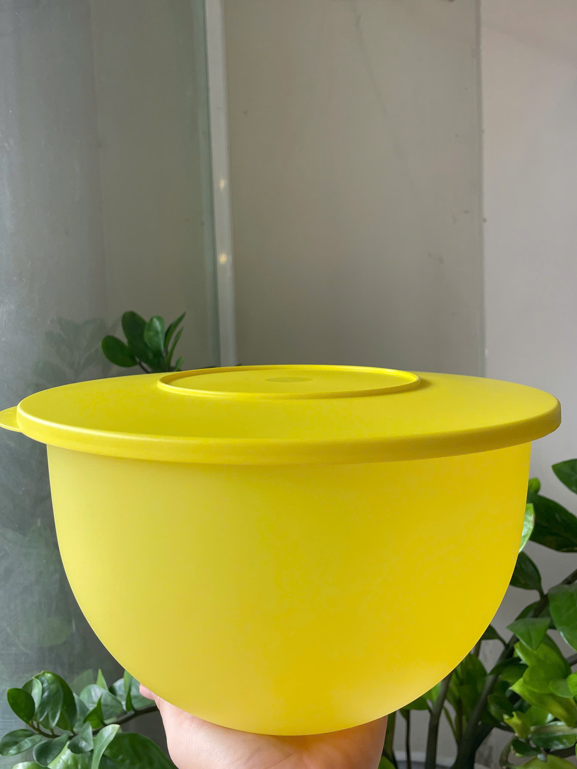 Tuptrung Bowl 4.3L