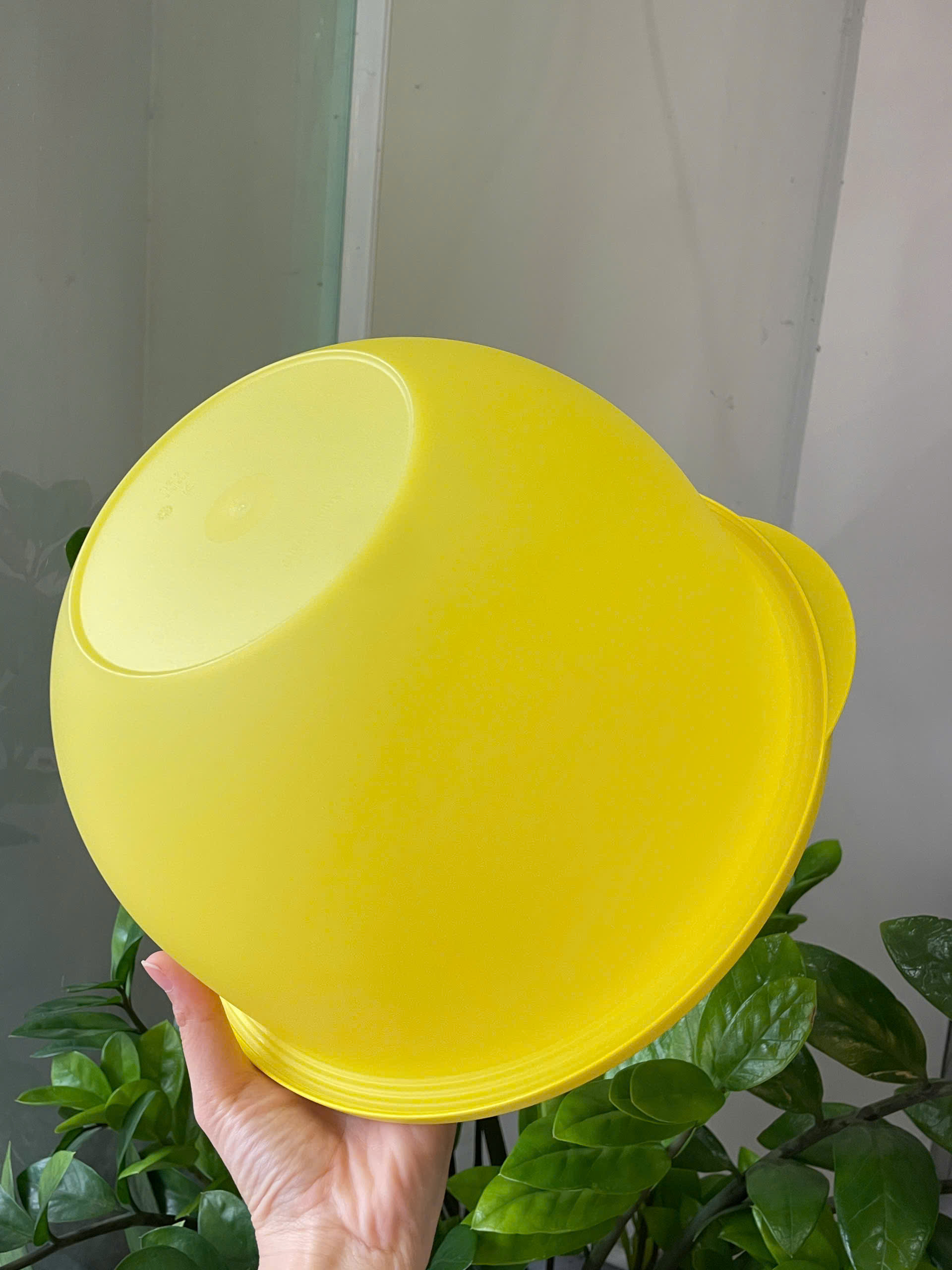 Tuptrung Bowl 4.3L