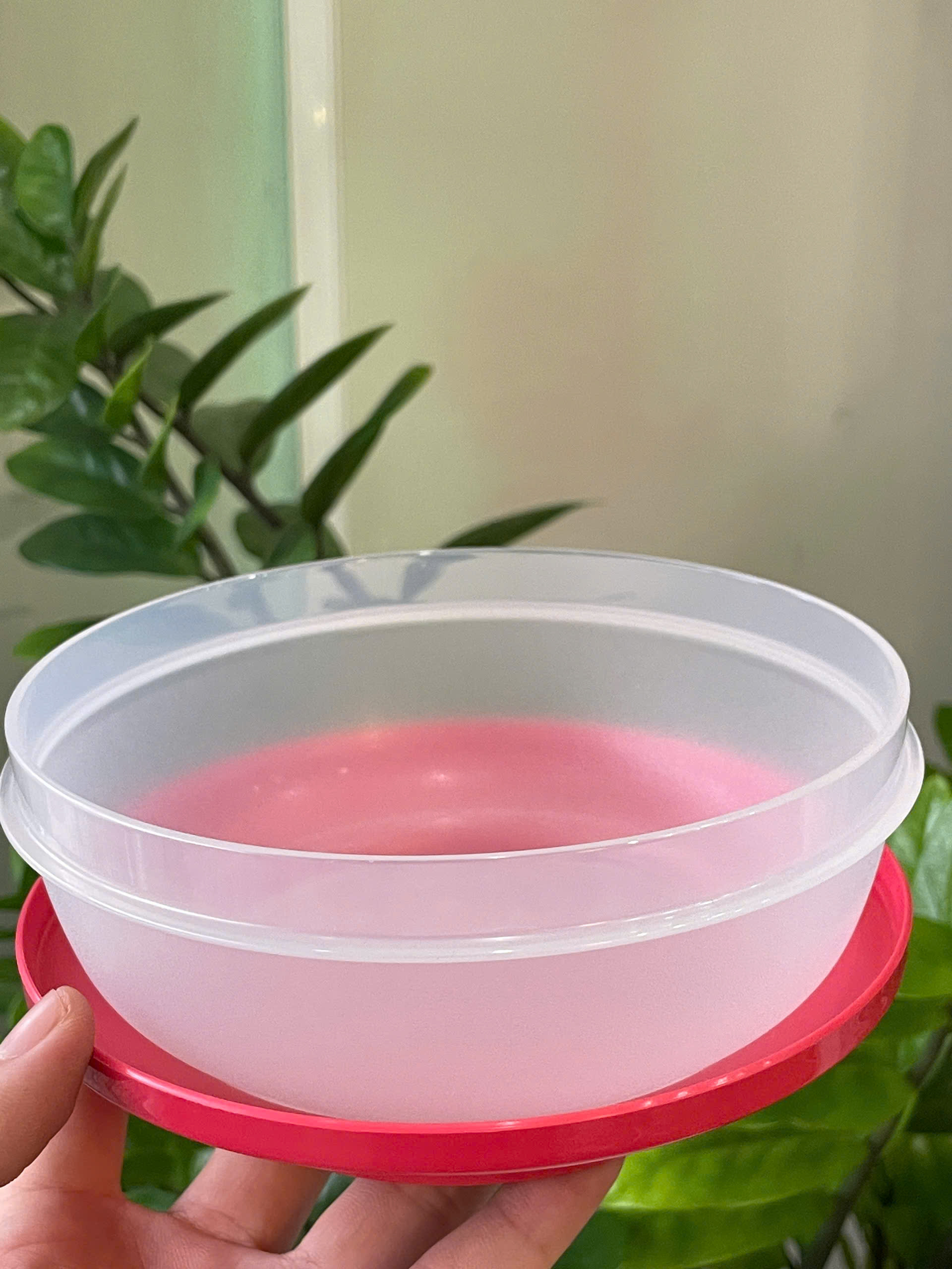Tuptrung Bát/Tô đựng thức ăn 750ml