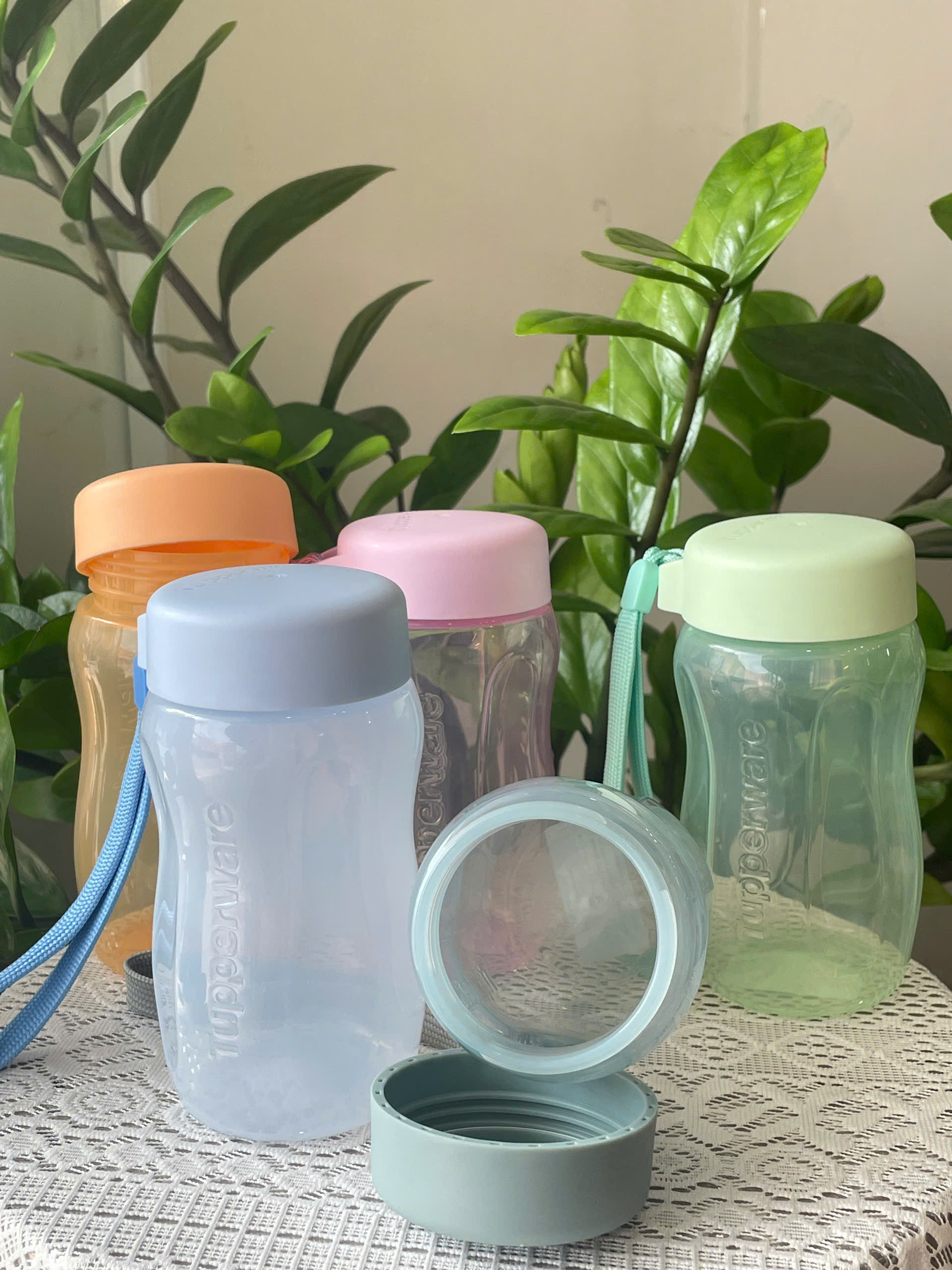 Bình Eco Gen II 310ml Tupperware
