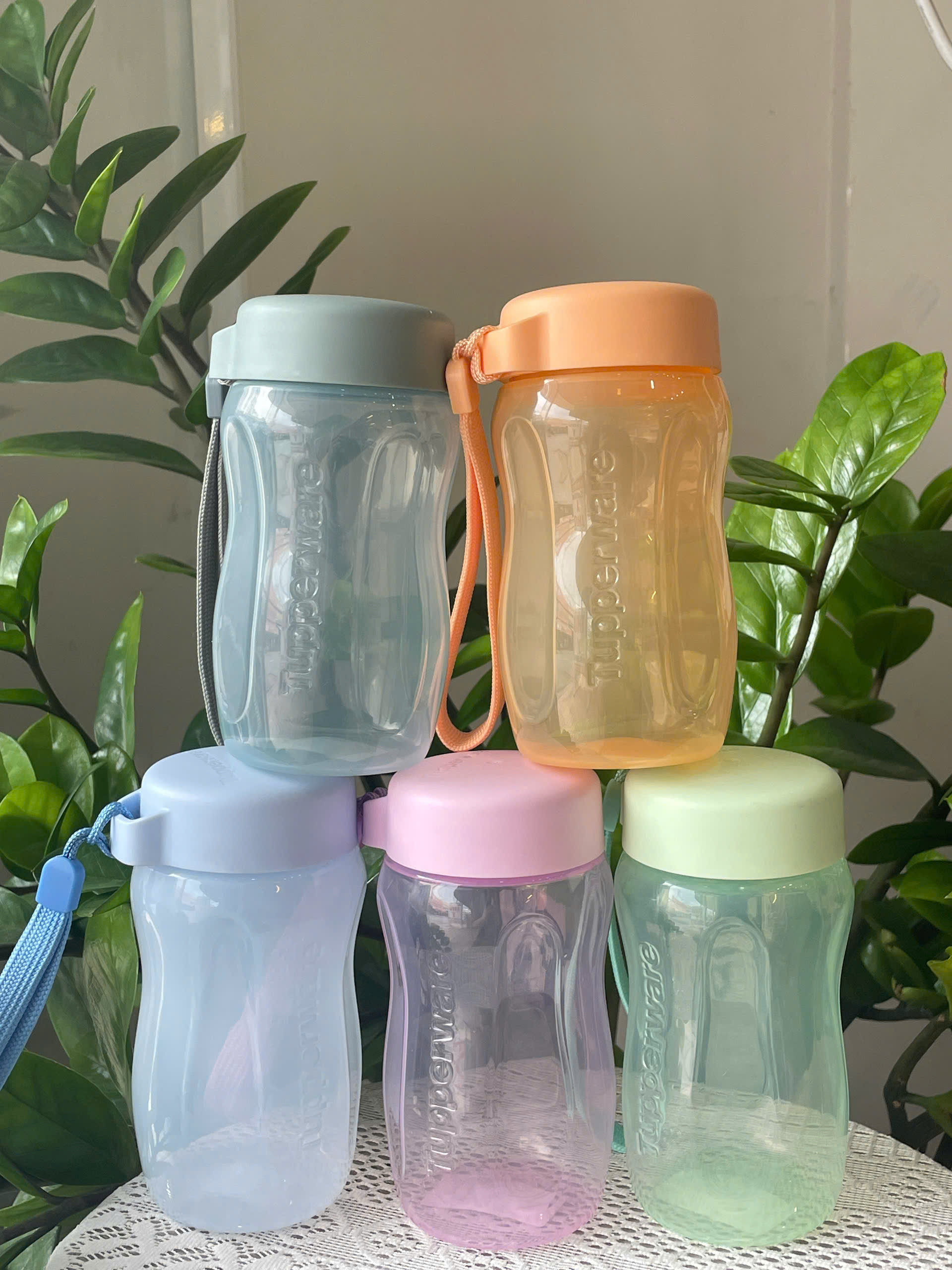 Bình Eco Gen II 310ml Tupperware