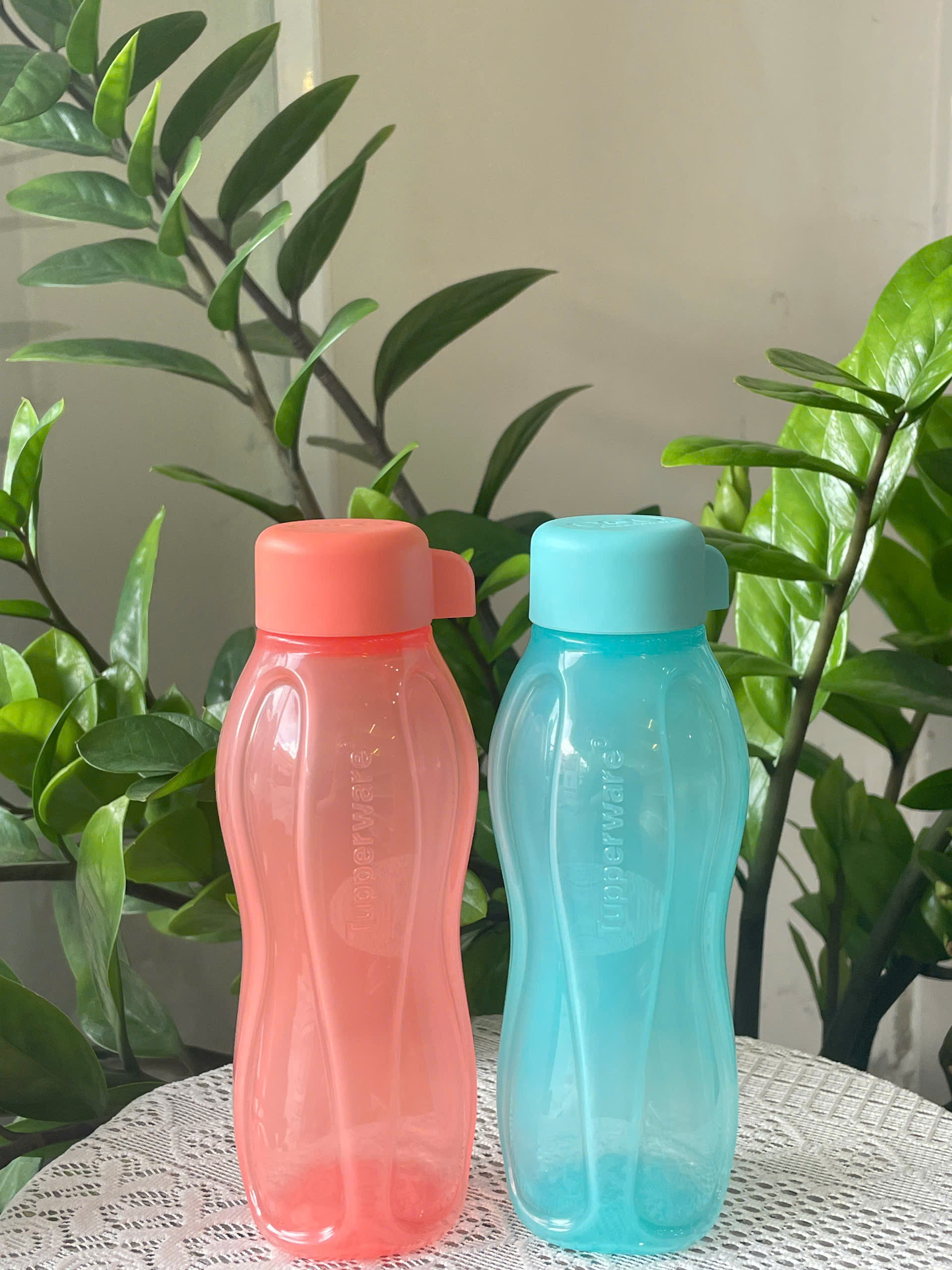 Bình nước Tupperware Eco Gen II 310ml