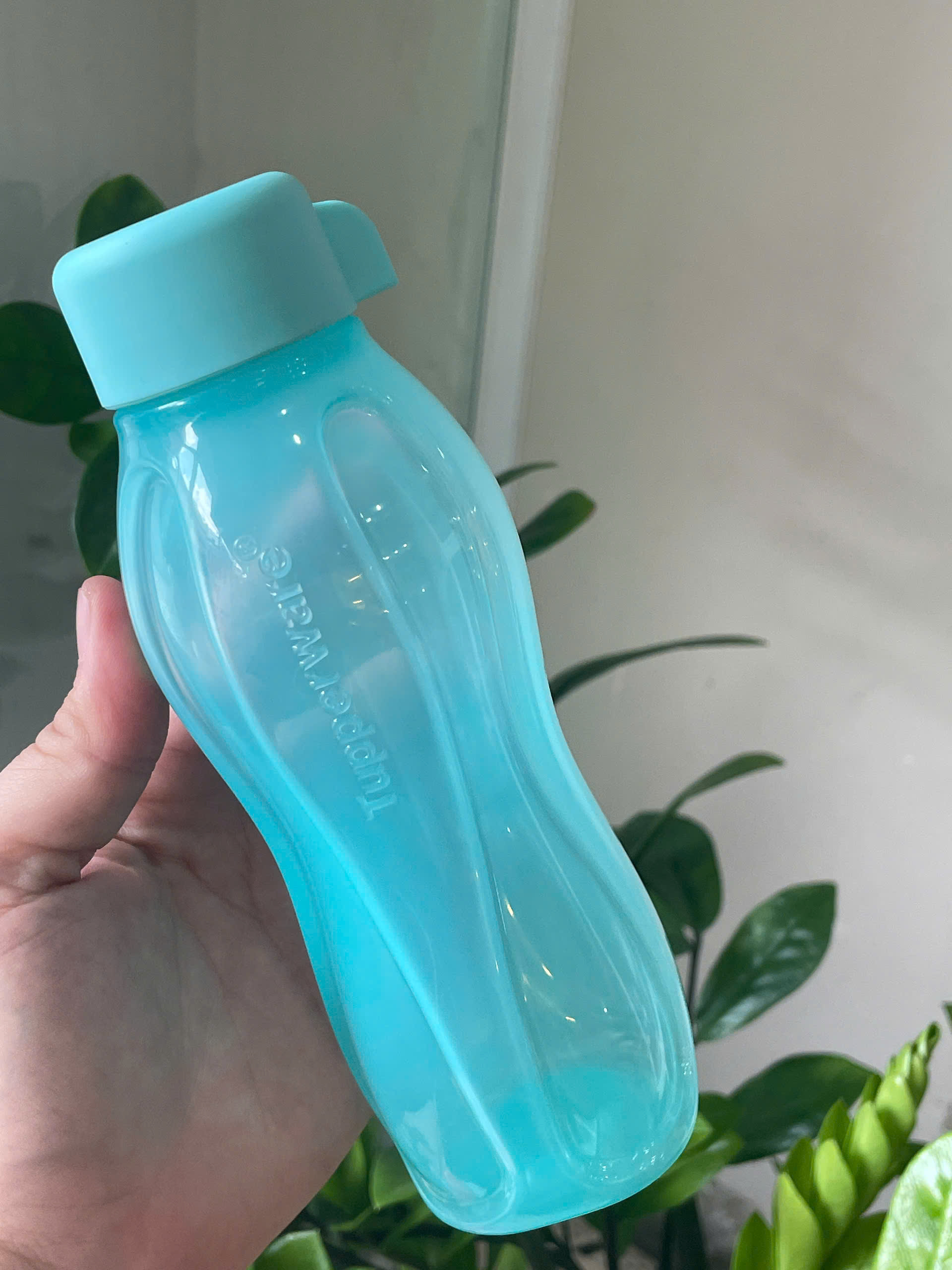 Bình nước Tupperware Eco Gen II 310ml
