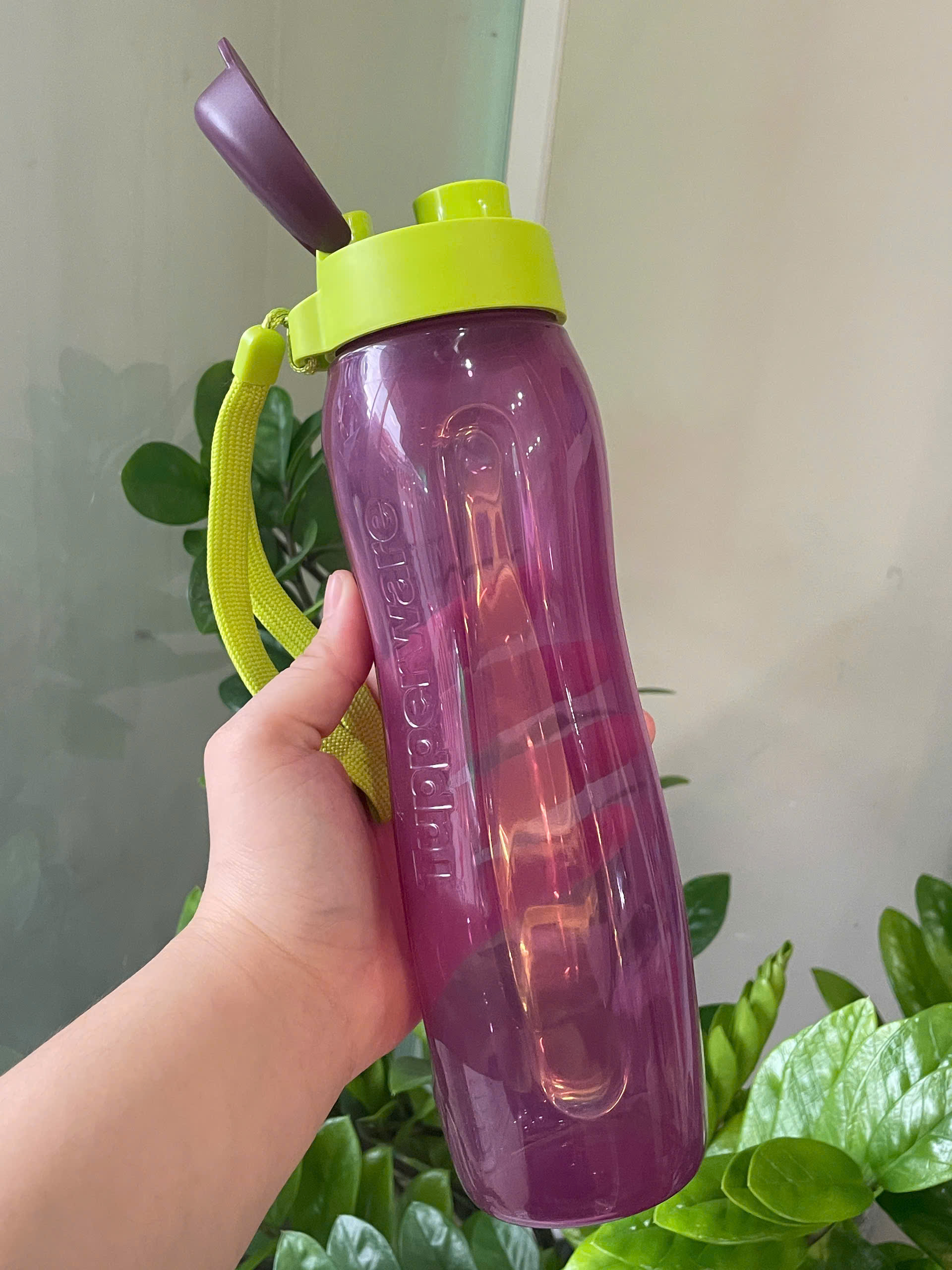 Bình Nước Tupperware Eco Bottle Gen II 750ml