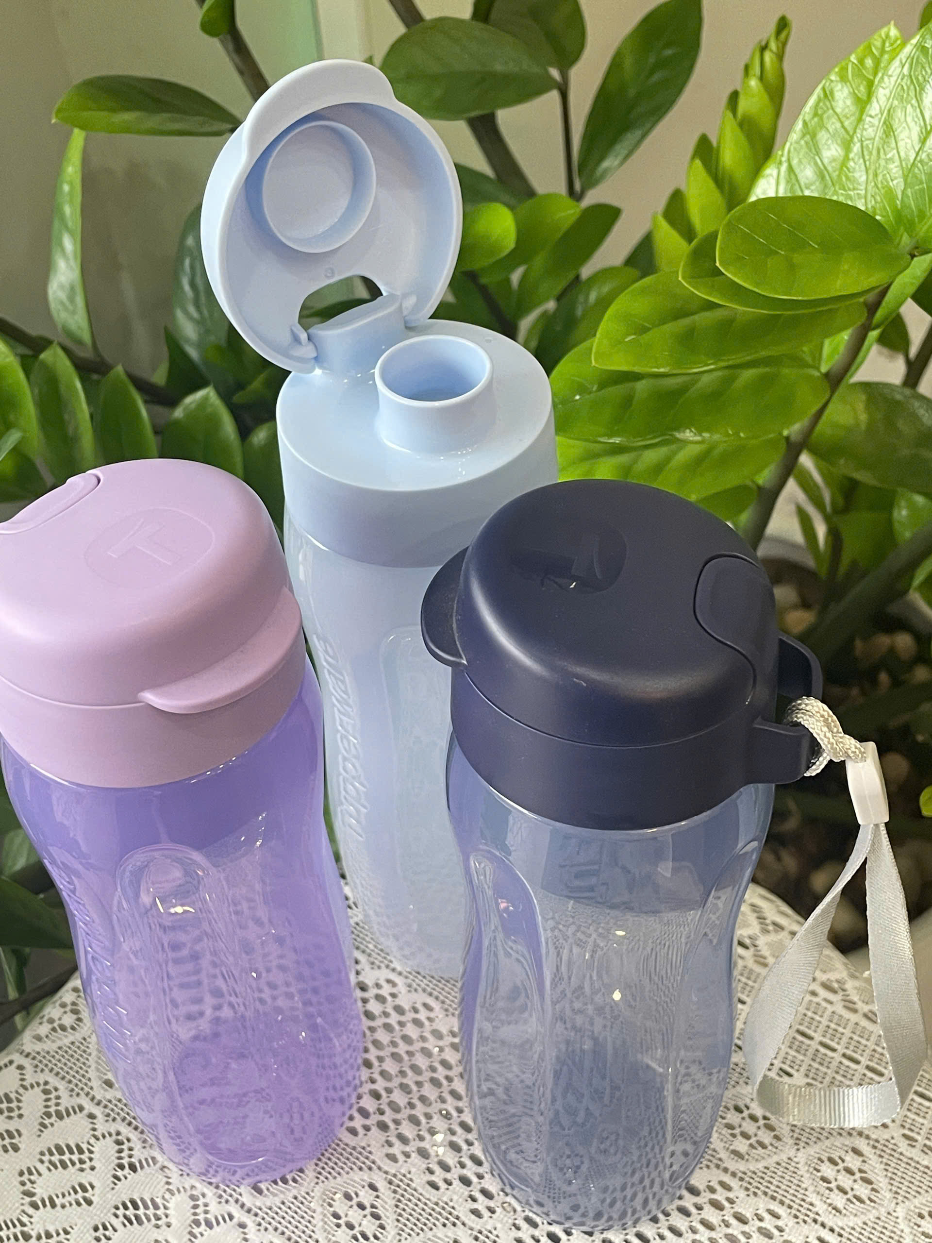 Bình Nước Tupperware Eco Bottle Gen II 500ml