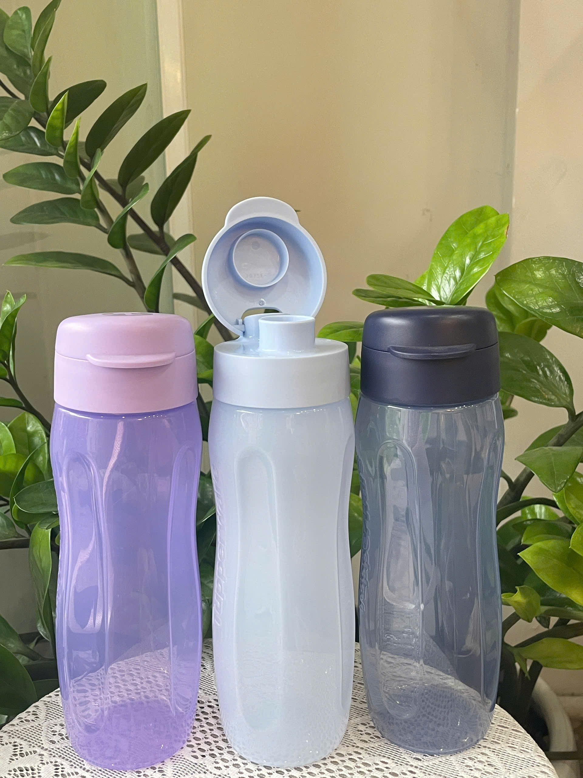 Bình Nước Tupperware Eco Bottle Gen II 500ml