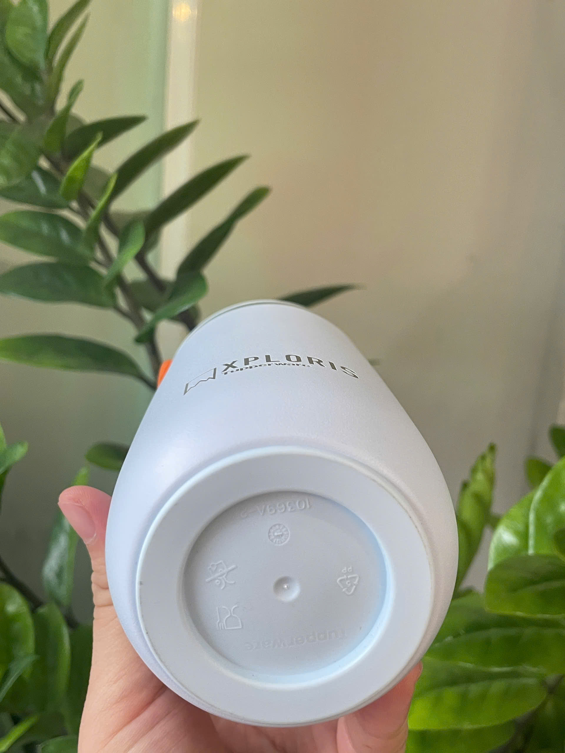 Ly Giữ Nhiệt Tupperware Xploris