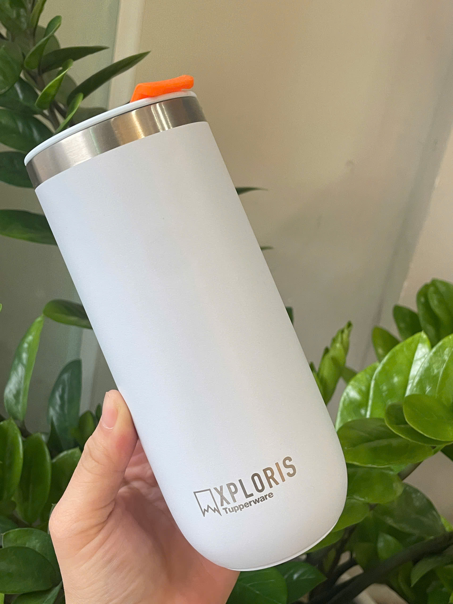 Ly Giữ Nhiệt Tupperware Xploris