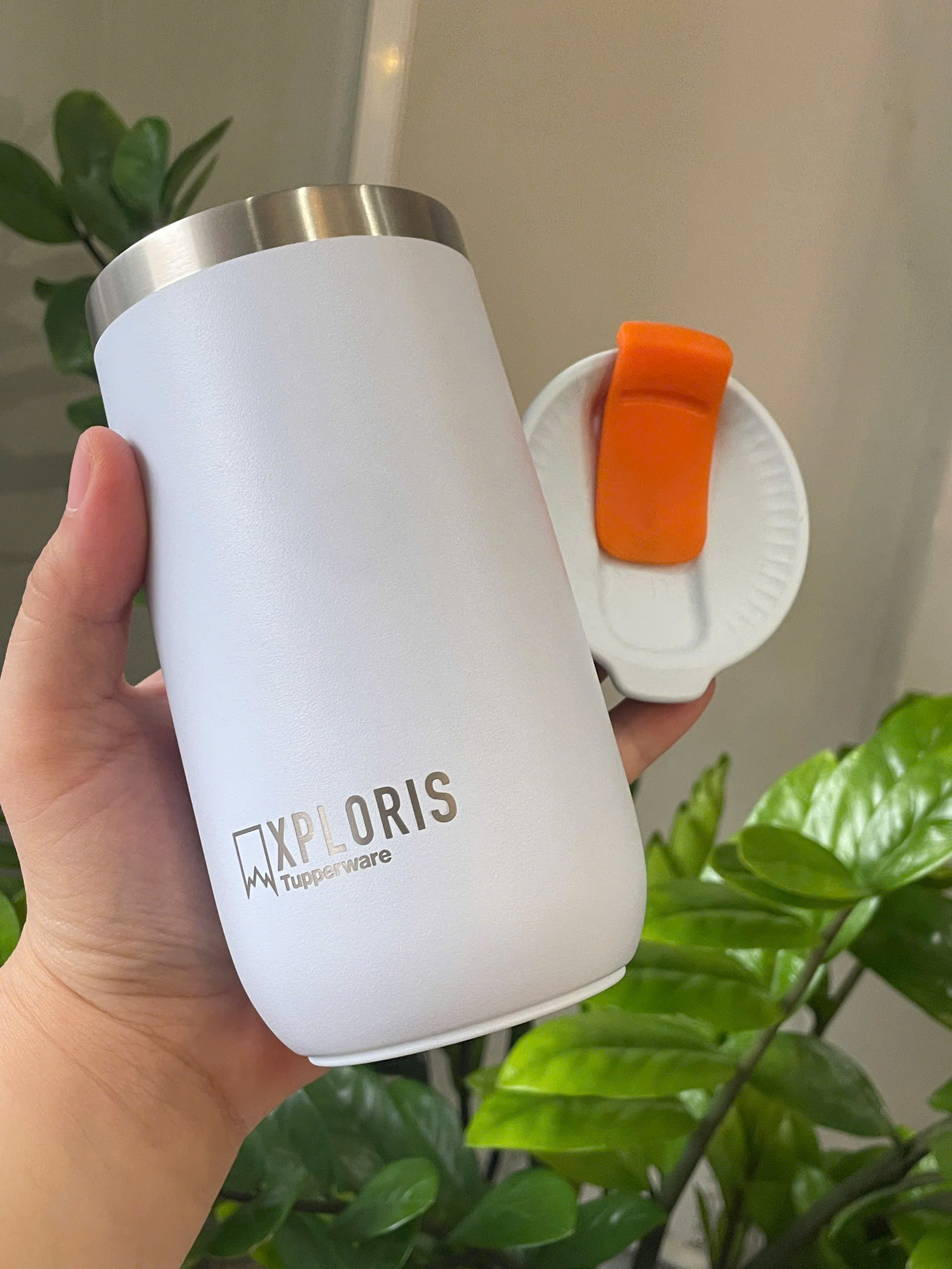 Ly Giữ Nhiệt Tupperware Xploris