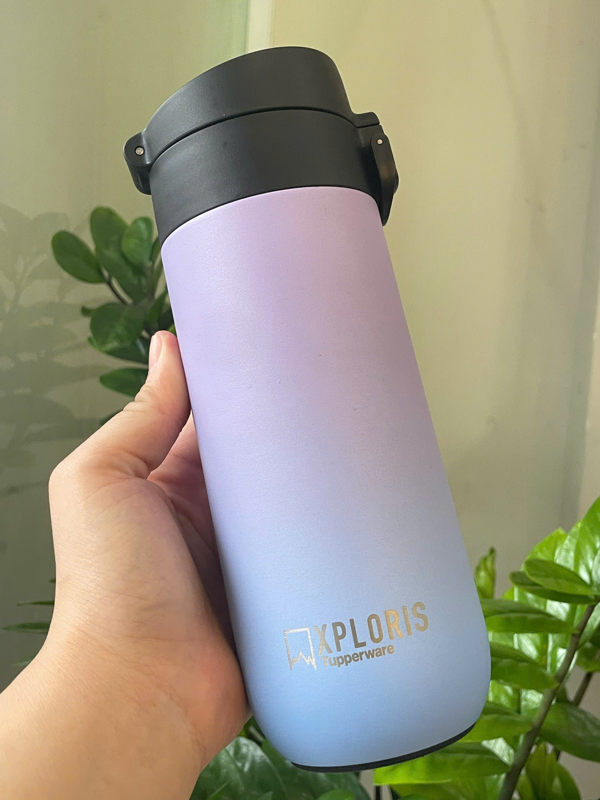 Bình Giữ Nhiệt Tupperware Xploris Flask 450ml