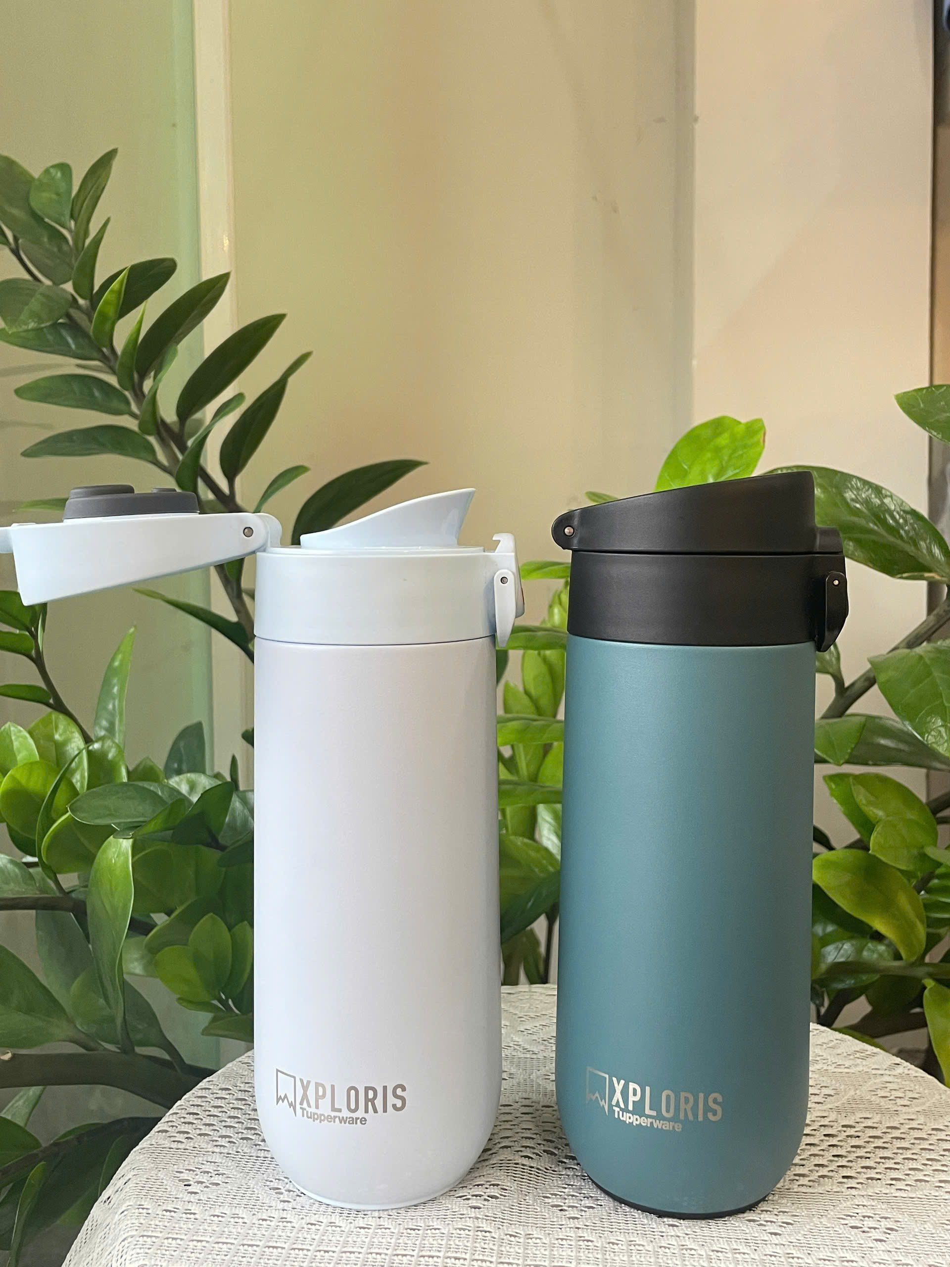 Bình Giữ Nhiệt Tupperware Xploris Flask 450ml
