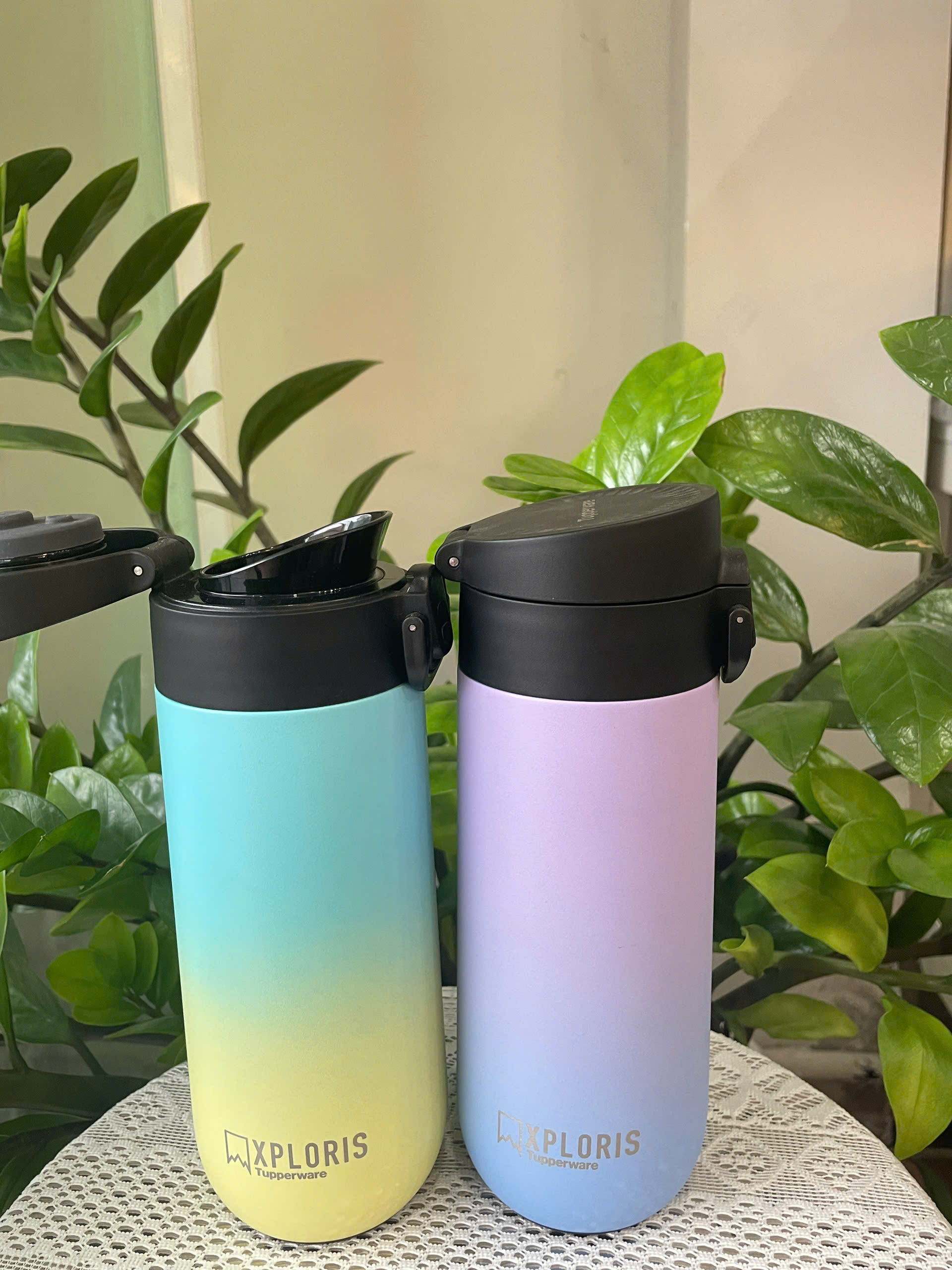 Bình Giữ Nhiệt Tupperware Xploris Flask 450ml