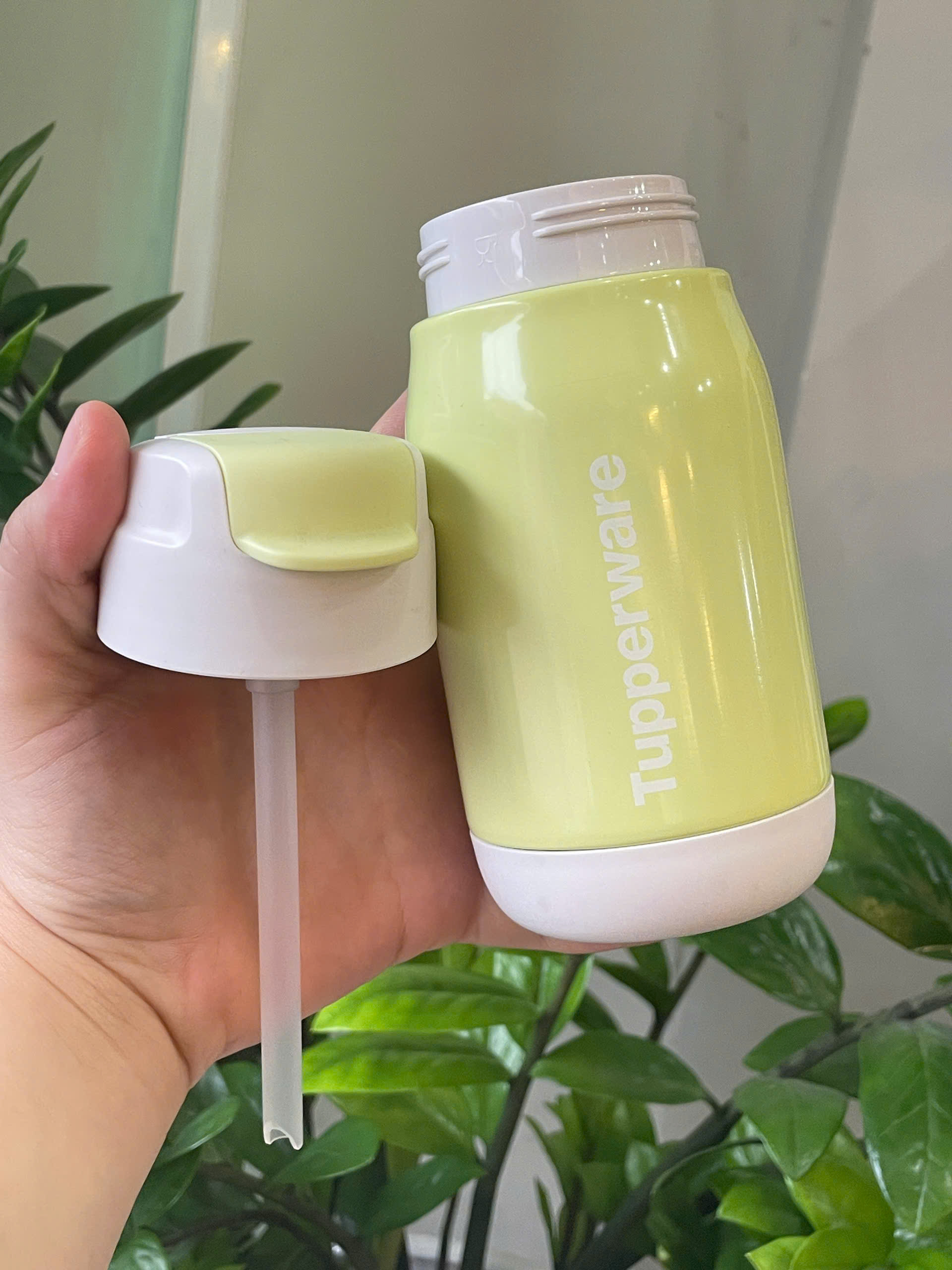 Bình Tupperware Giữ Nhiệt Lạnh Lohas 330m Có Ống Hút