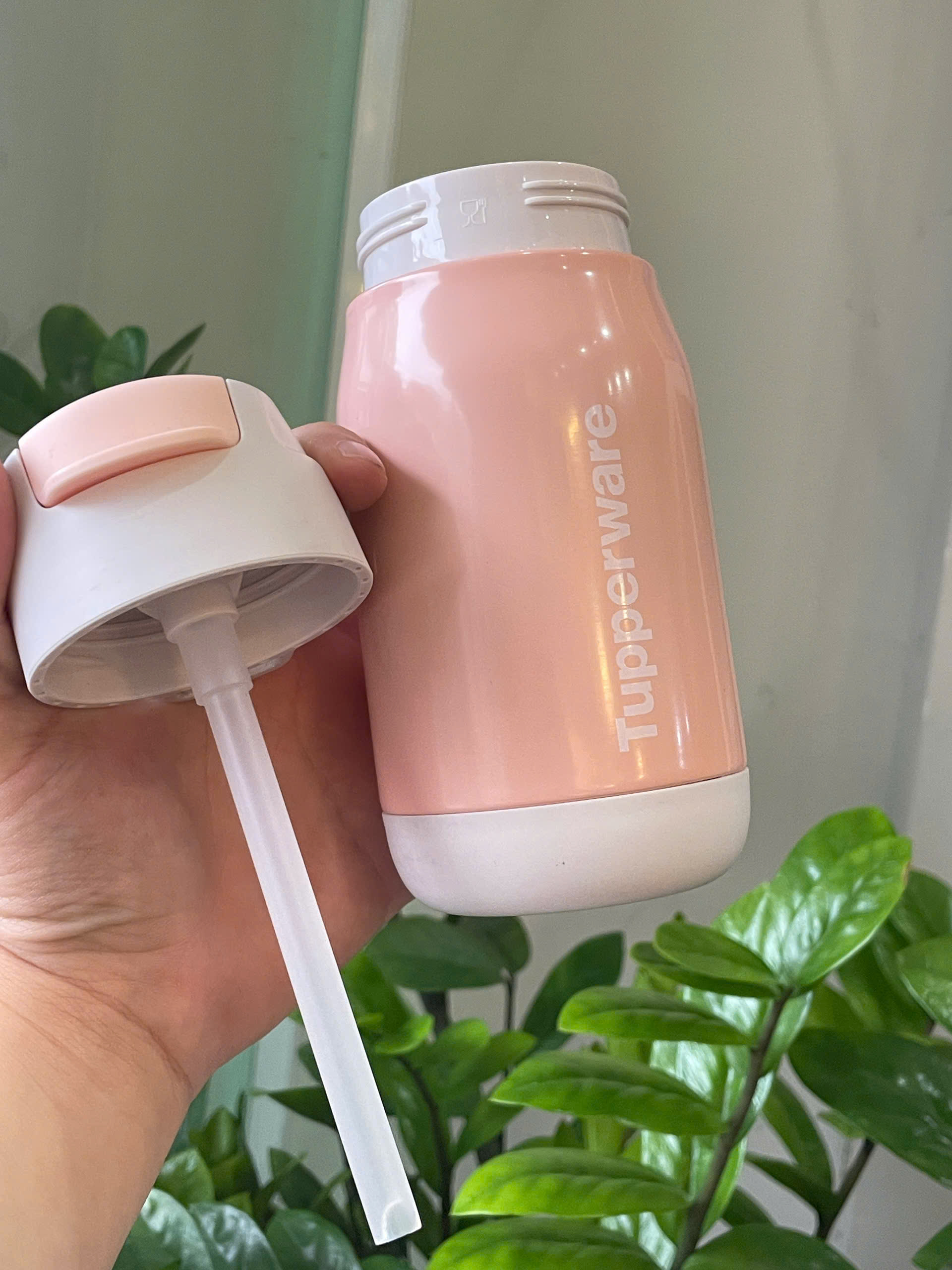 Bình Tupperware Giữ Nhiệt Lạnh Lohas 330m Có Ống Hút