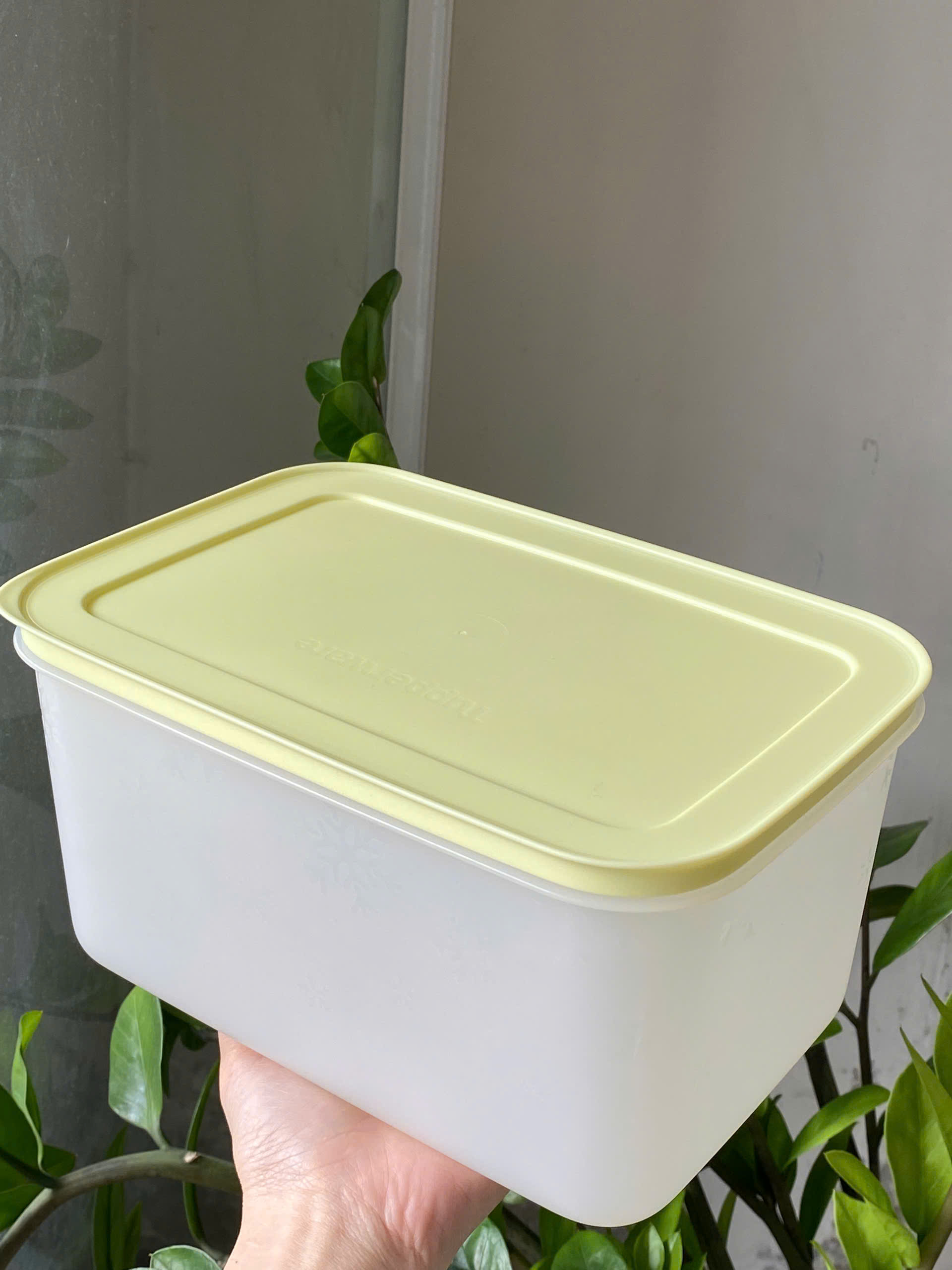 Tuptrung - Hộp đông dẻo 2.5L - Nắp vàng