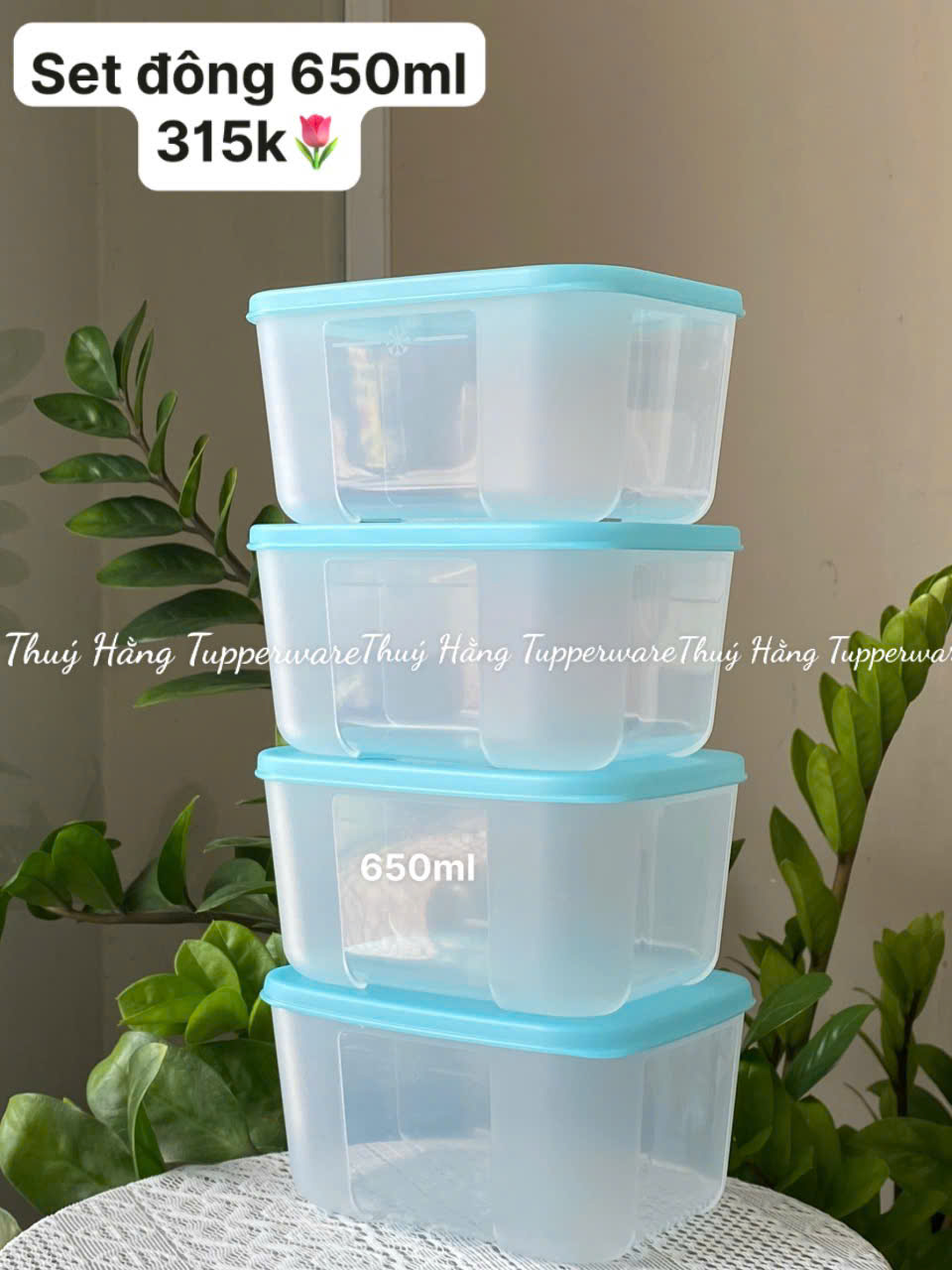 Combo 4h Đông 650ml Tupperware Màu Paradise