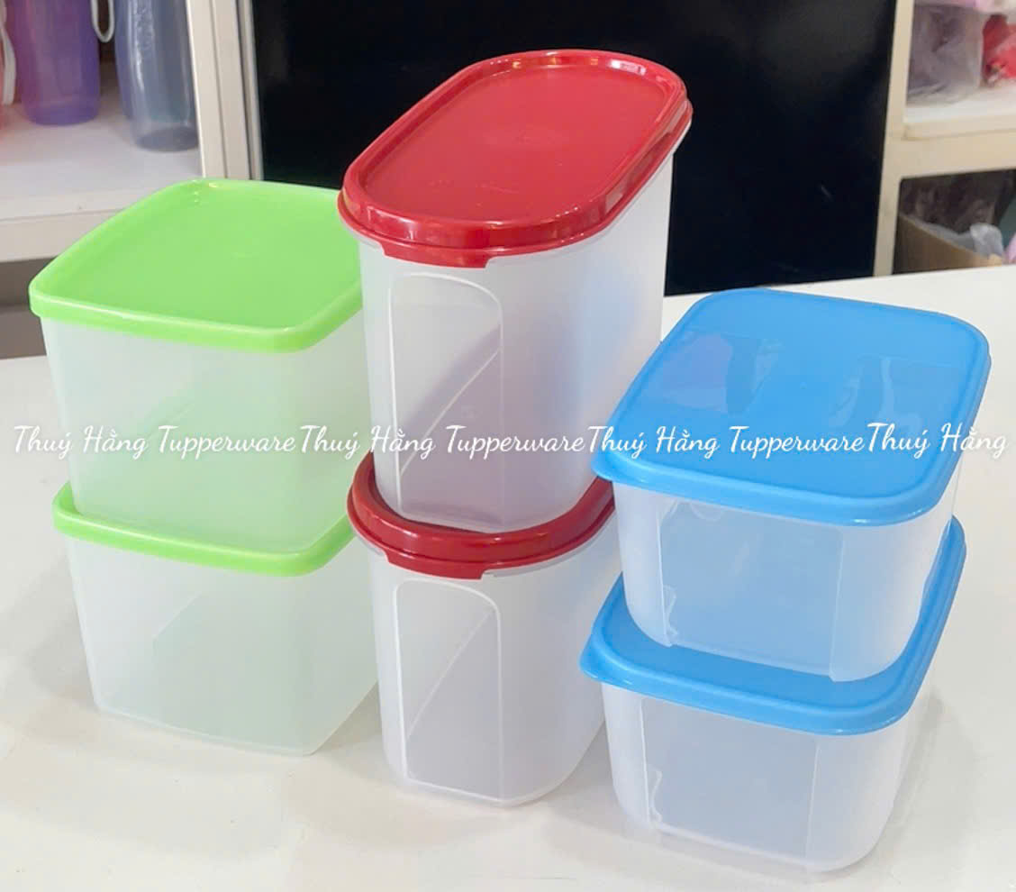 Set Mix Tupperware Đông Mát Khô (6)