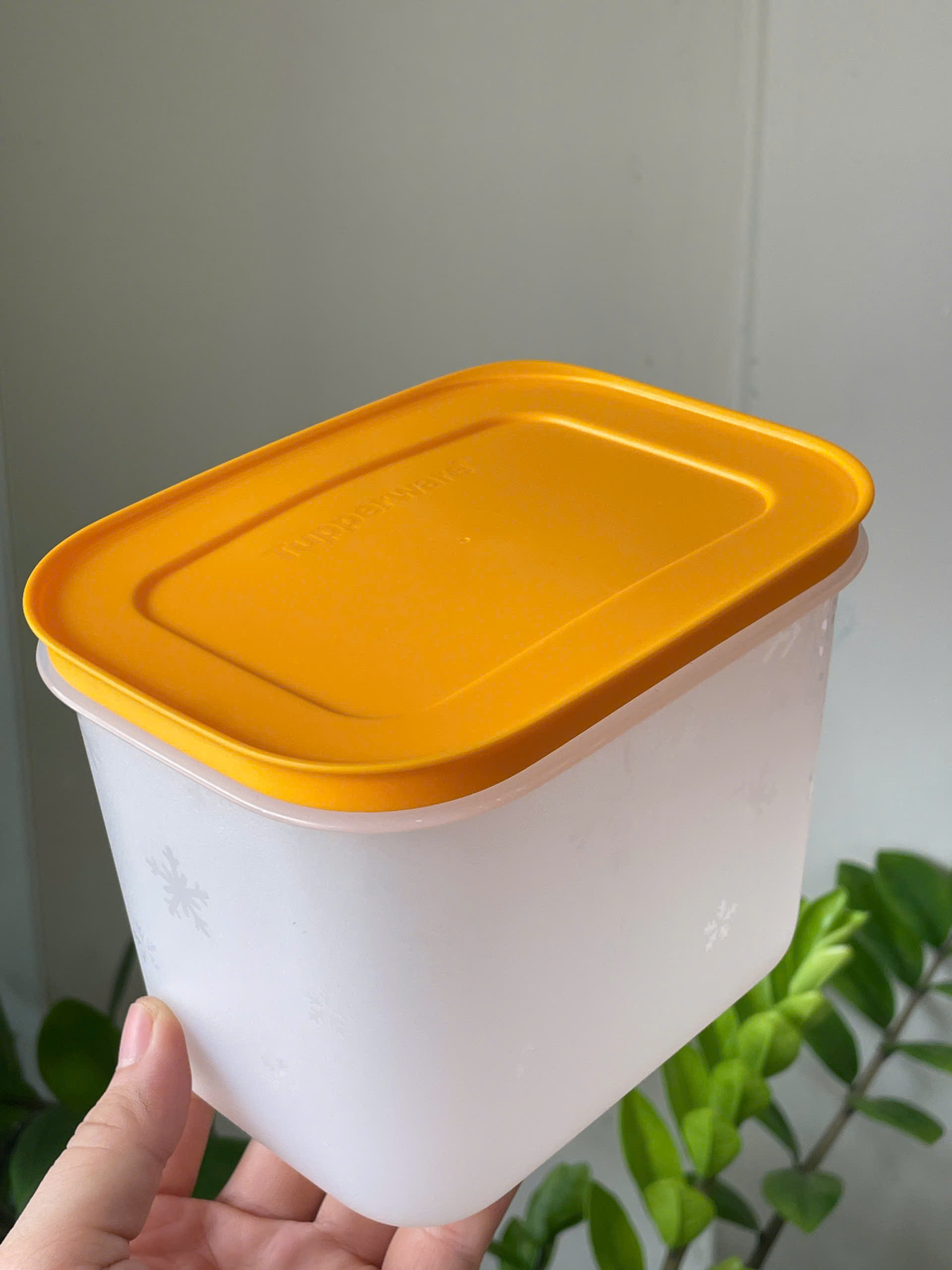 Hộp đông dẻo 1.1L