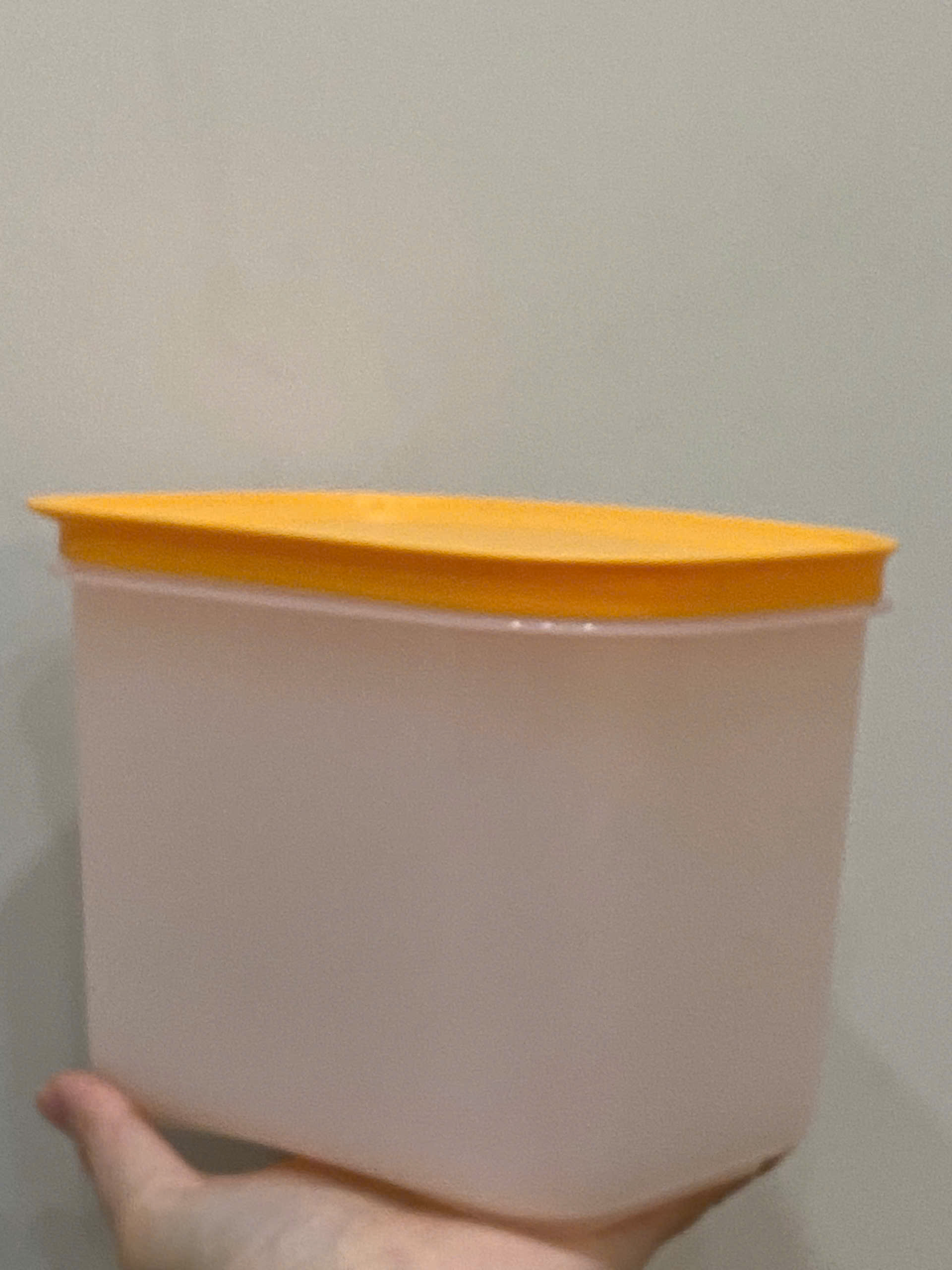 Đông dẻo 1.1lit - Cam trong