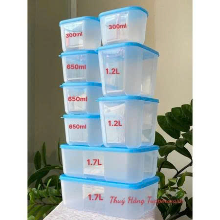 Combo 9 Hộp Đông Nắp Xanh